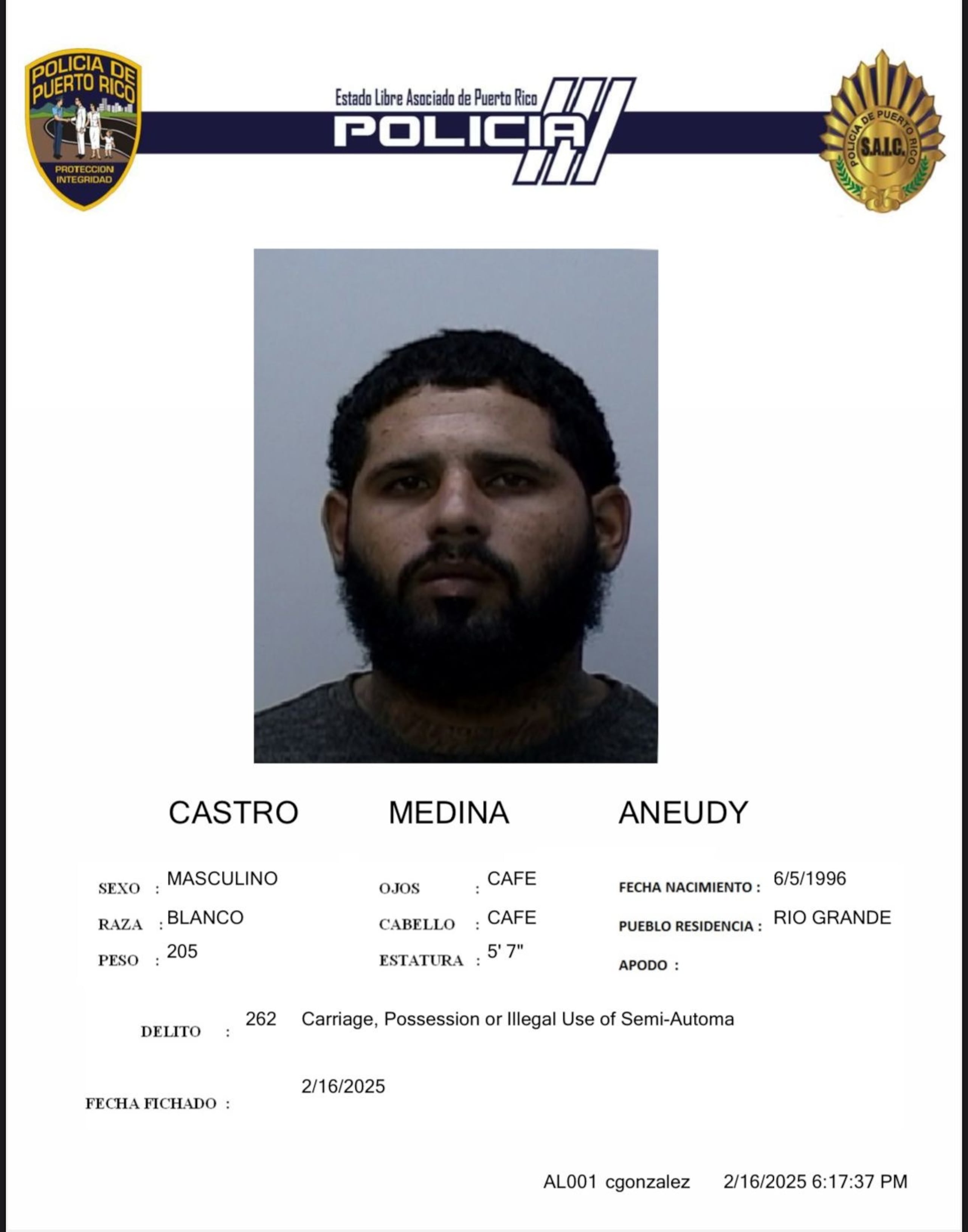 Aneudy Castro Medina fue sentenciado a diez años en prisión por la posesión de un rifle sin licencia. (Archivo)