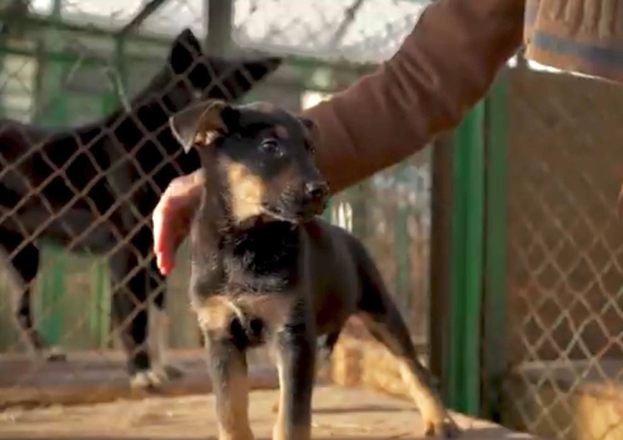 El alcalde de Isabela, Ing. MIguel ‘Ricky’ Méndez Pérez, informó oficialmente los resultados de las labores realizadas en ocho (8) de las diez (10) escuelas públicas cerradas en dicha municipalidad. En las mismas se invirtieron recursos, tiempo y labor, para generar opciones educativas, de trabajo y desarrollo económico, desde la llegada de Méndez en el 2021.