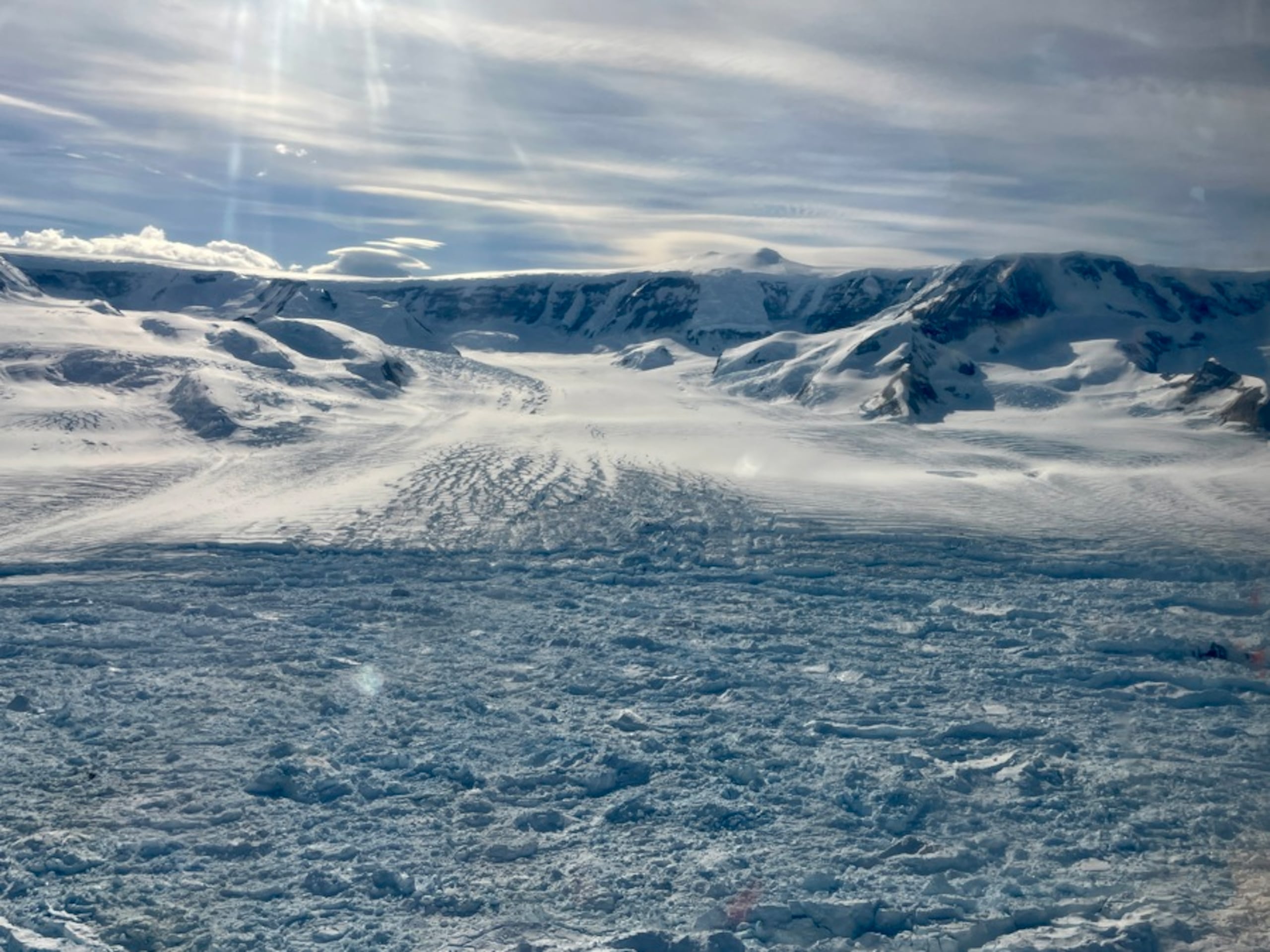 Este importante hallazgo permite conocer cómo vivían estos animales en lo que actualmente es el continente blanco, pero que en tiempo de los dinosaurios estaba cubierto por bosques y selvas tropicales, libre de hielo y con un clima cálido.