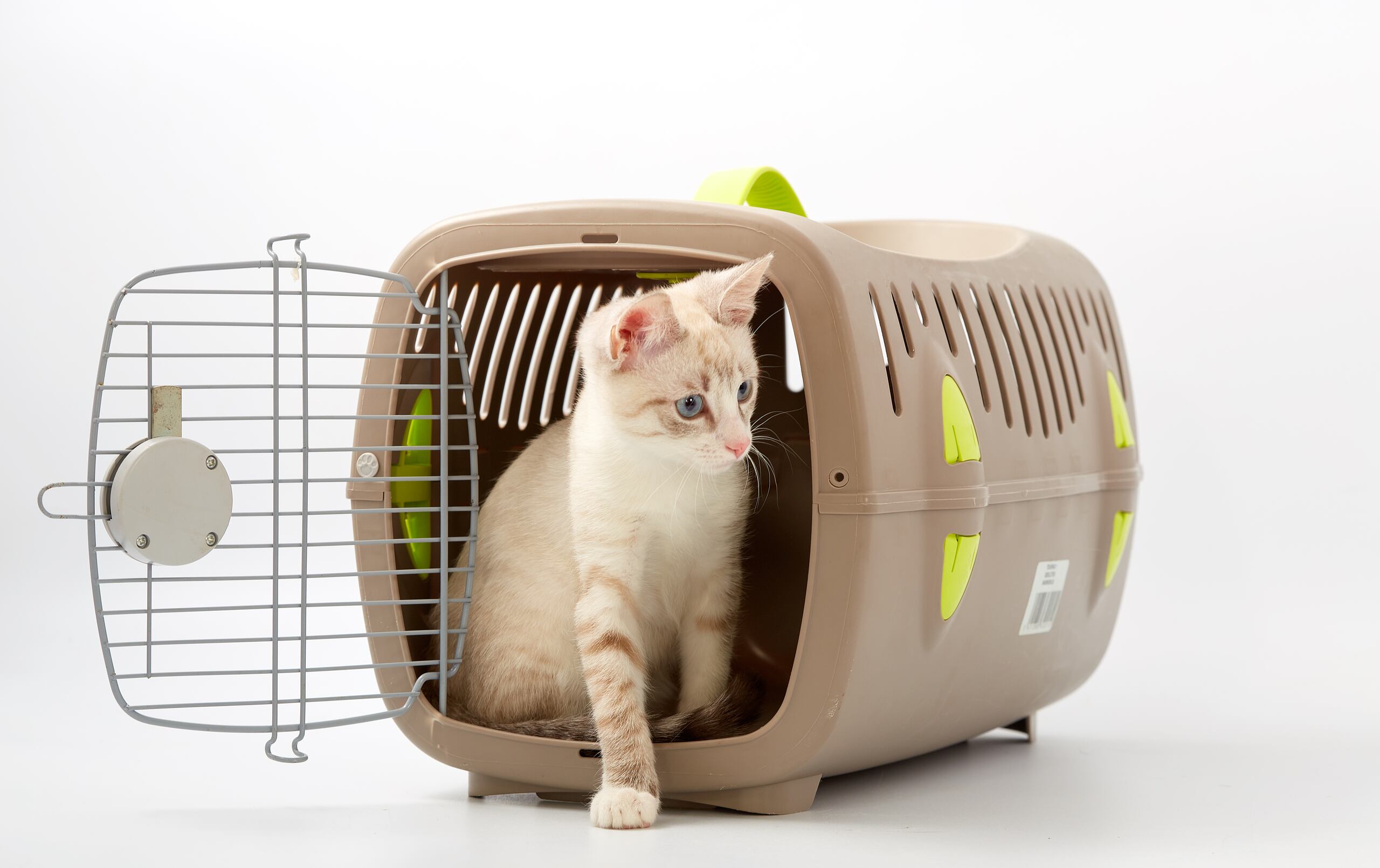Cuando transportes tu gato al consultorio hazlo en un "kennel" espacioso y cómodo.