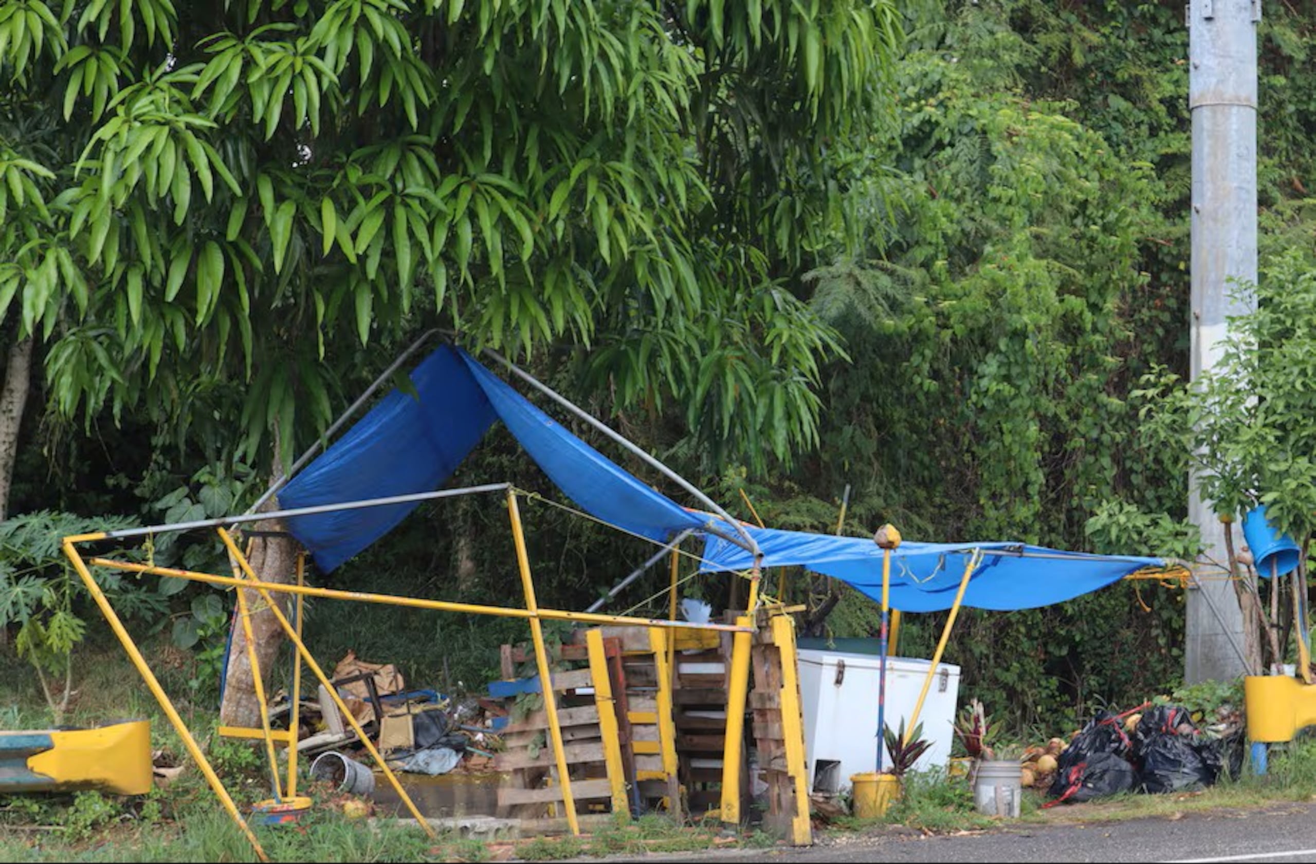 El proyecto de Ley se produce luego que el DTOP repartiera cartas de desalojo a comerciantes ambulantes, principalmente en la carretera PR-129 de Arecibo a Lares.