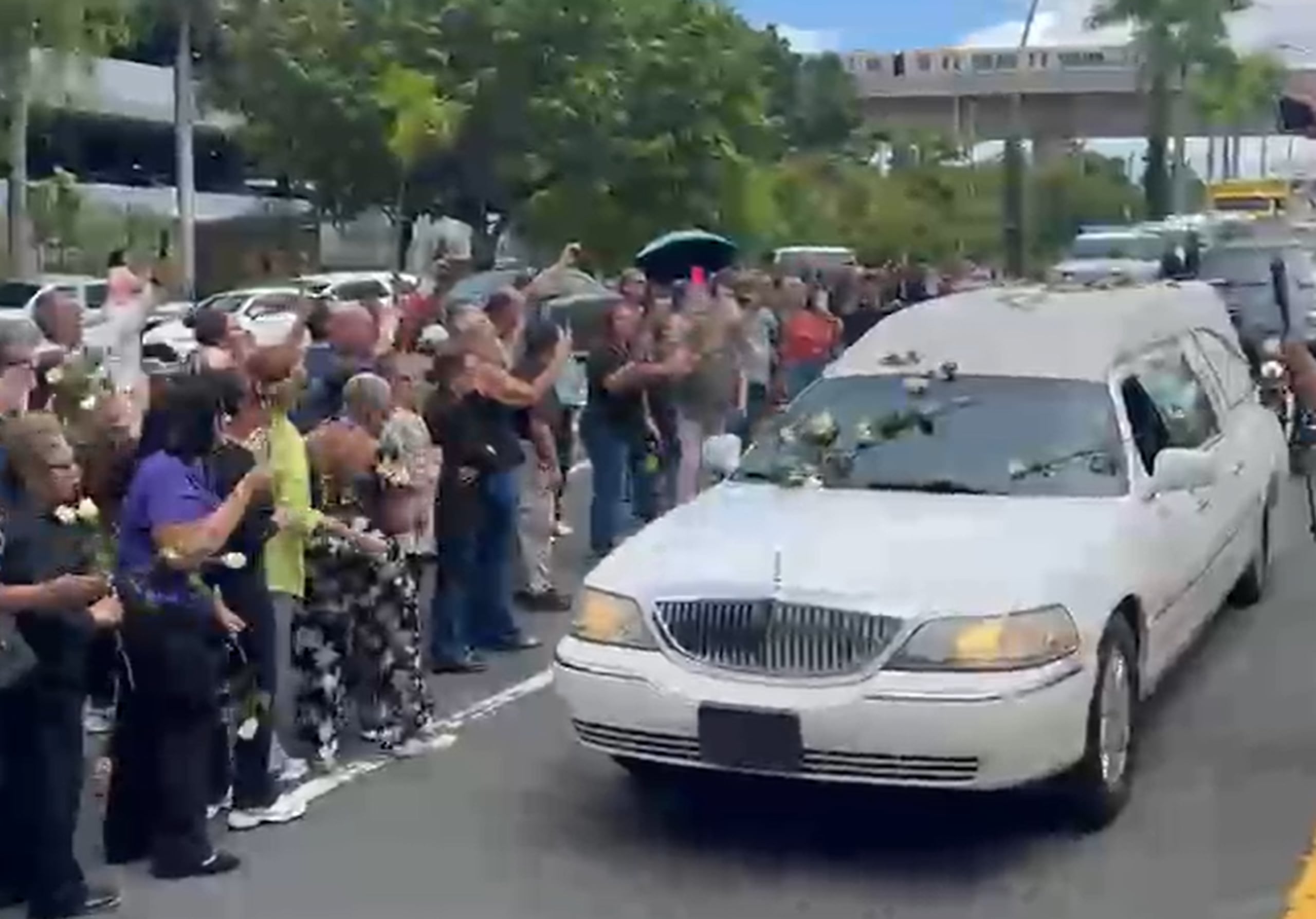 Espectadores lanzan rosas blancas al coche fúnebre.