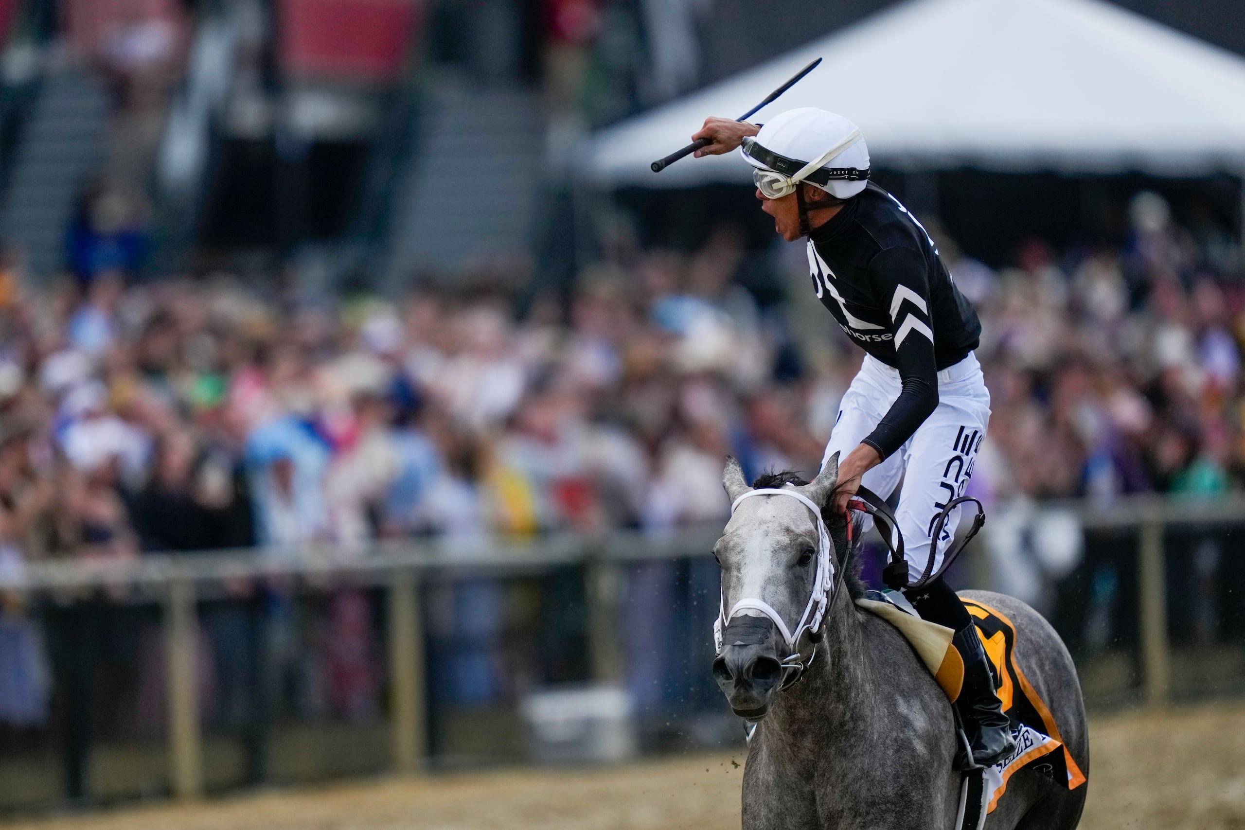 Jaime Torres vivió de todo para llegar a este momento de la victoria sobre Seize the Grey, en el Preakness Stakes, el sábado pasado.