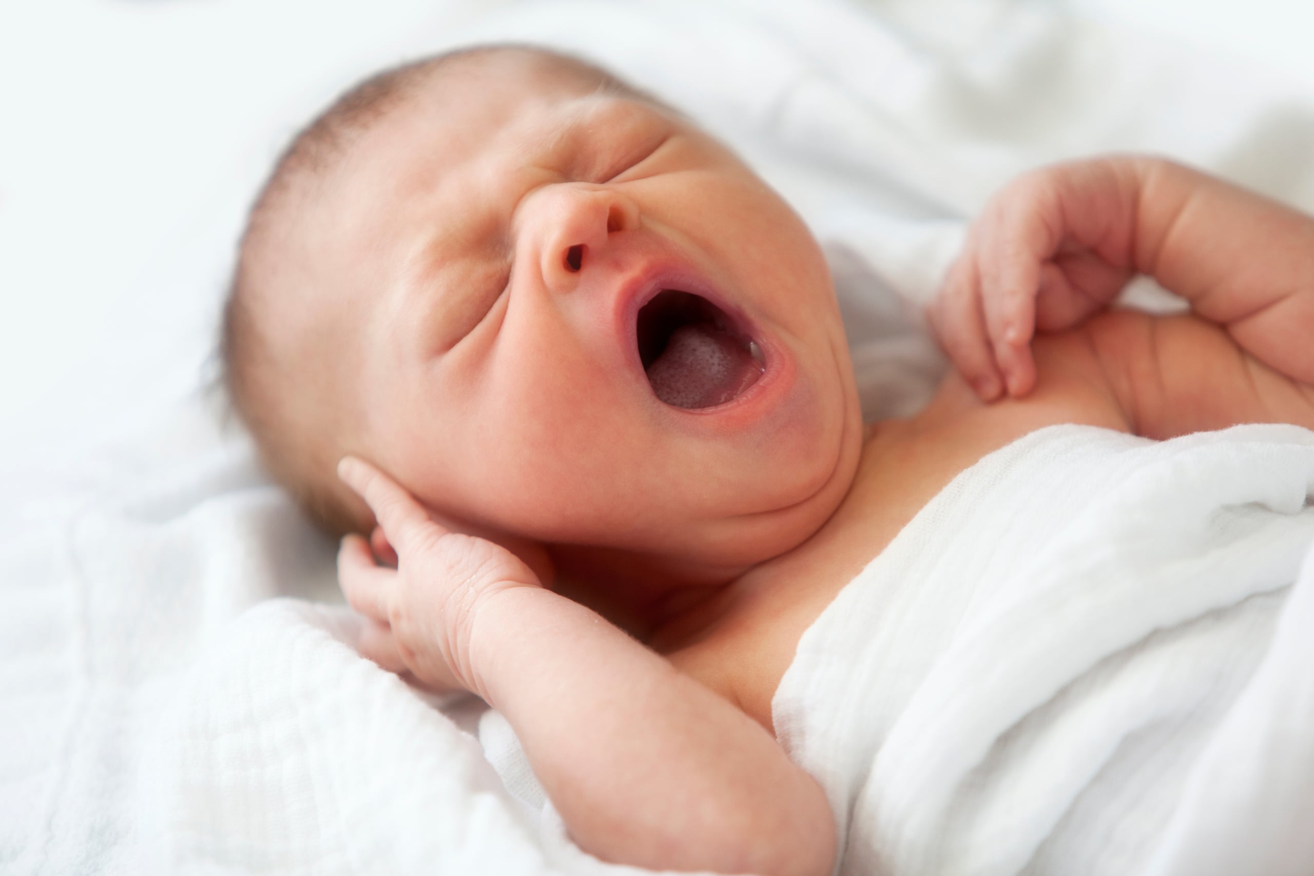 "Las células T neonatales tienen una mayor capacidad para proteger al huésped contra las primeras fases de una infección inicial”, explicó Brian Rudd, de la Universidad de Cornell, quien participó del estudio.
