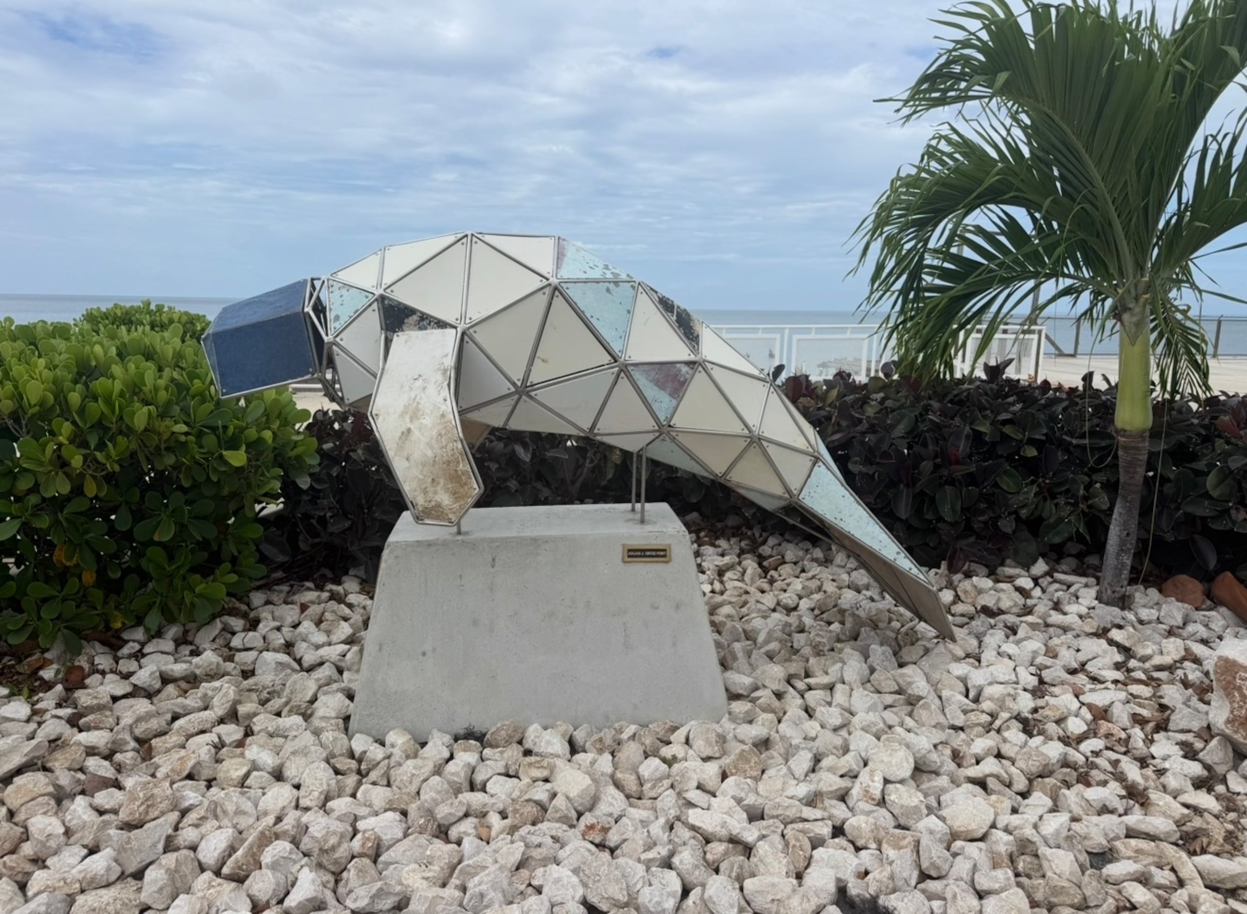 La costa de Salinas es una de las zonas de mayor prevalencia de manatíes en Puerto Rico.