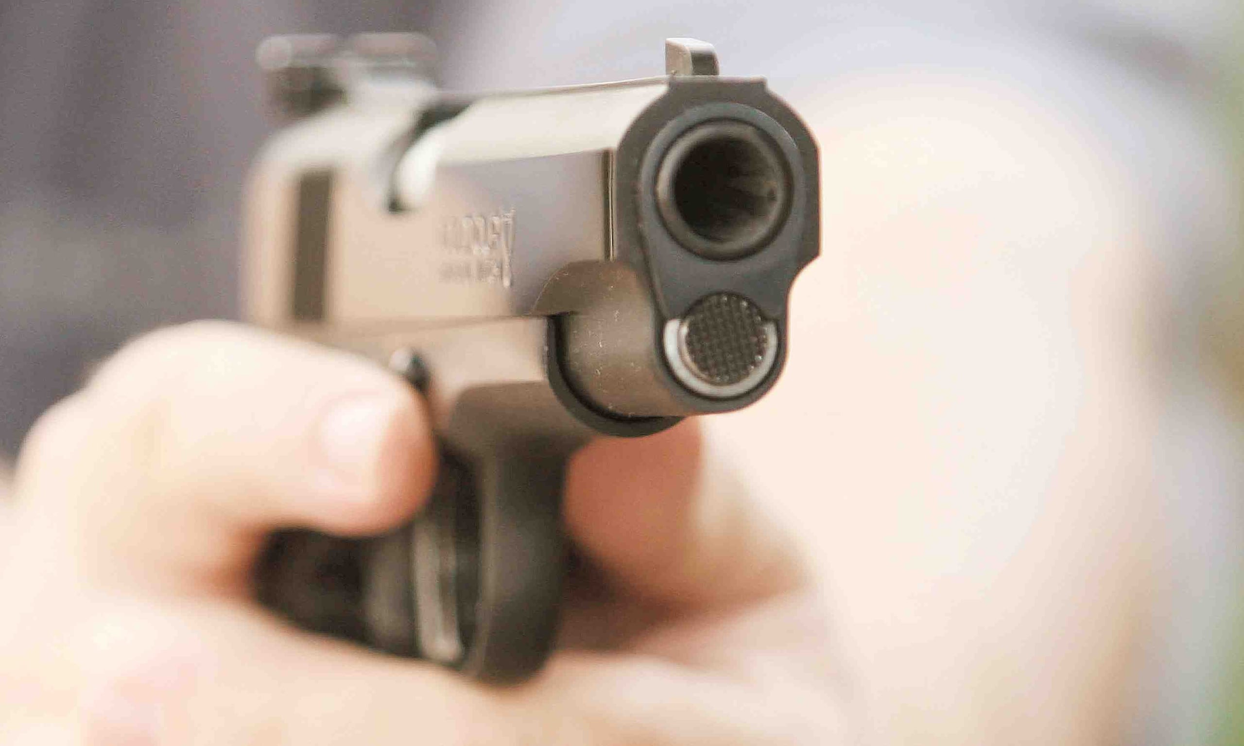 La investigadora igualmente destacó que cerca de 3,000 hispanos murieron con armas de fuego en ese año, de los cuales 1,750 fueron homicidios y 1034 fueron suicidios. (GFR Media)