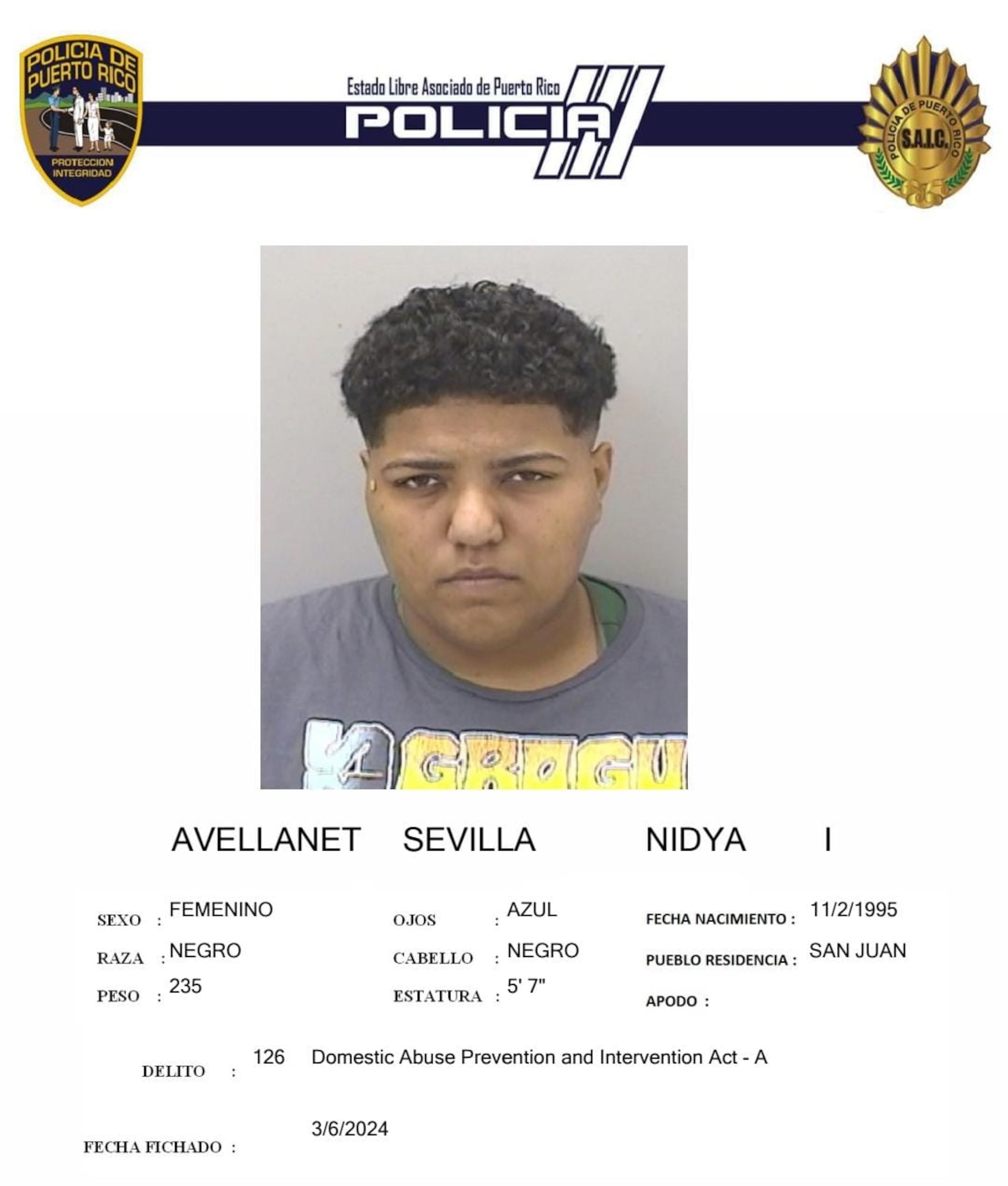 Nidya I. Avellanet Sevilla enfrenta cargos por violación al artículo 3.1 (maltrato) de la Ley para la Prevención e Intervención con la Violencia Doméstica.