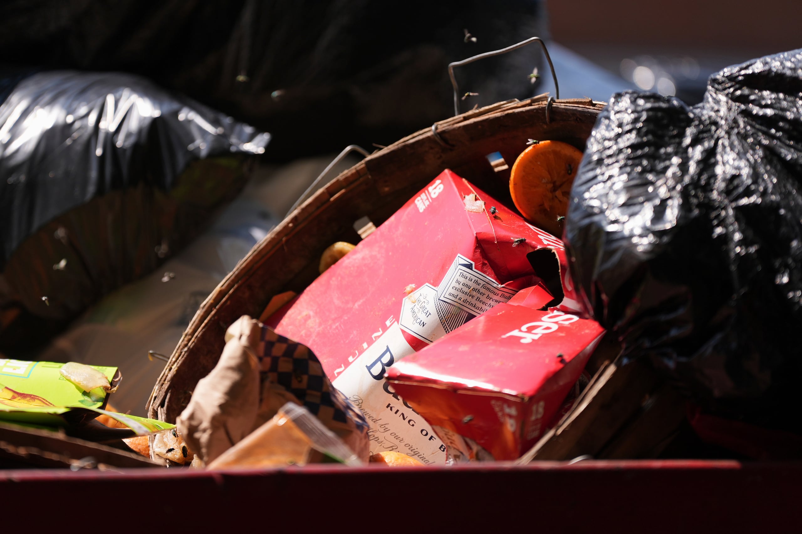 Contenedor de basura. (Archivo/ AP Photo/Matt Slocum)