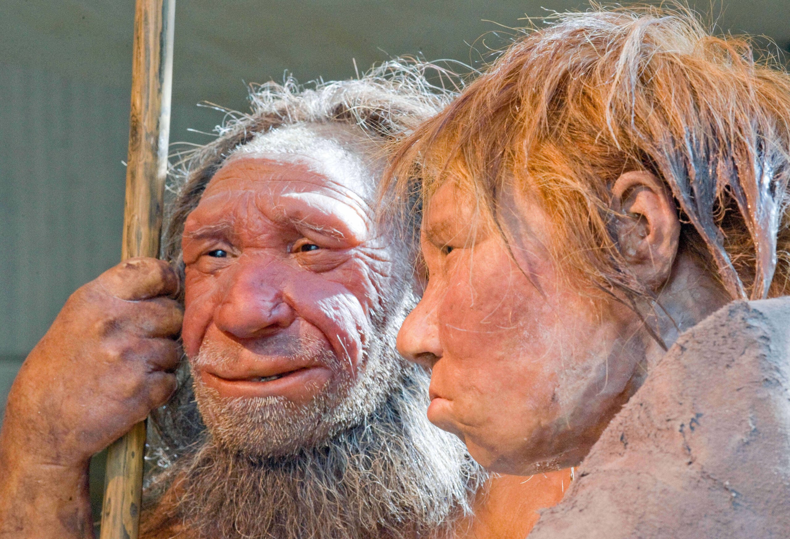 Si más hembras humanas se aparearon con machos neandertales que viceversa, se esperaría ver exactamente lo que encontraron: más ADN humano en los cromosomas X neandertales y menos ADN neandertal en los cromosomas X humanos.