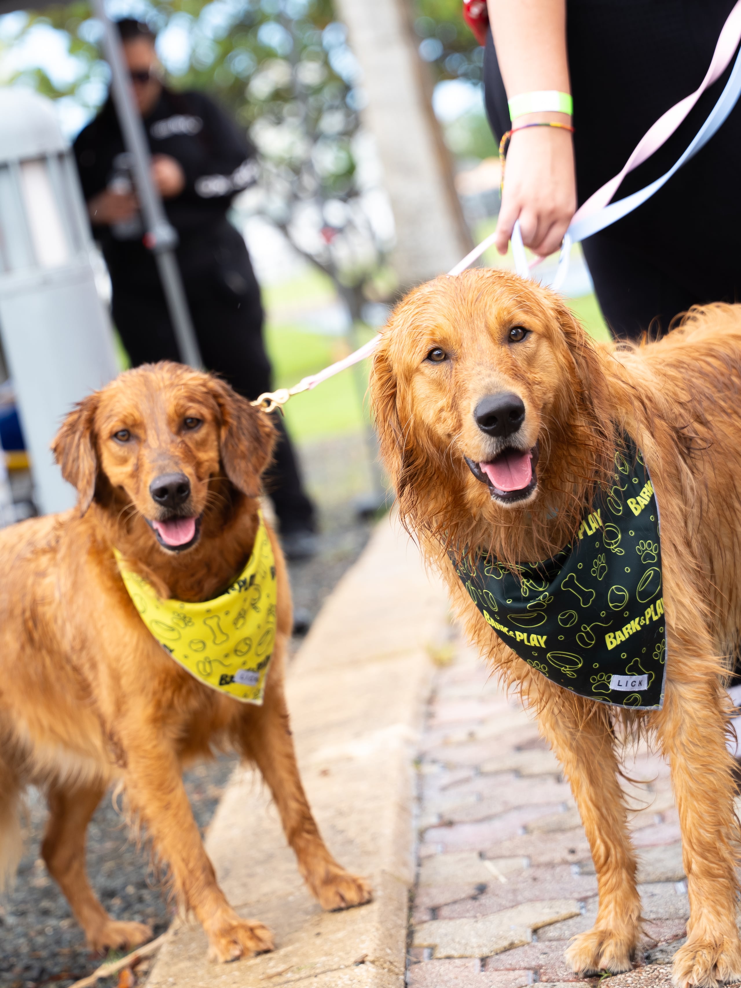Los boletos para esta cuarta edición ya están disponibles a través de ticketera.com.