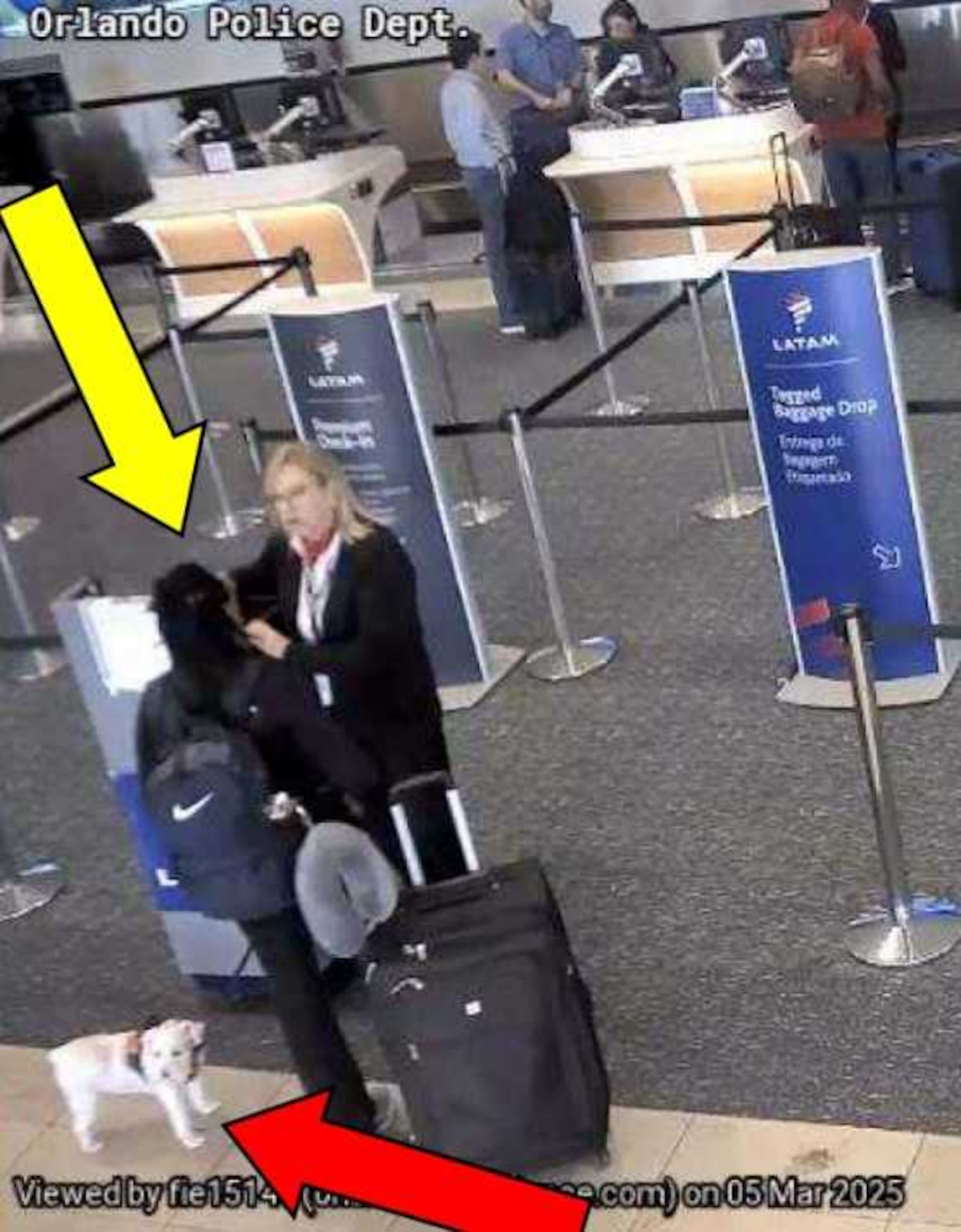 La sospechosa, Alison Lawrence, llegó al aeropuerto con su perro Tywinn para tomar un vuelo a Colombia, pero no tenía los documentos necesarios para que el animal abordara.