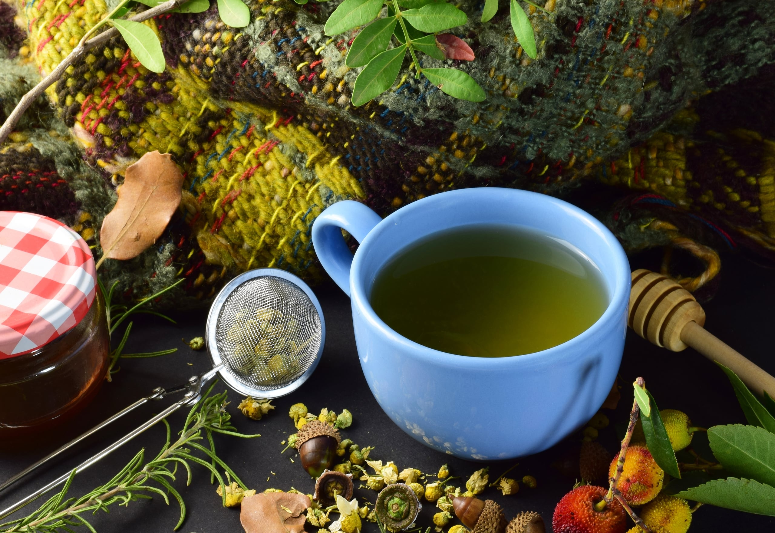 Las civilizaciones antiguas creaban brebajes de semillas, hierbas, hojas, frutas y cortezas para tratar una amplia variedad de malestares.