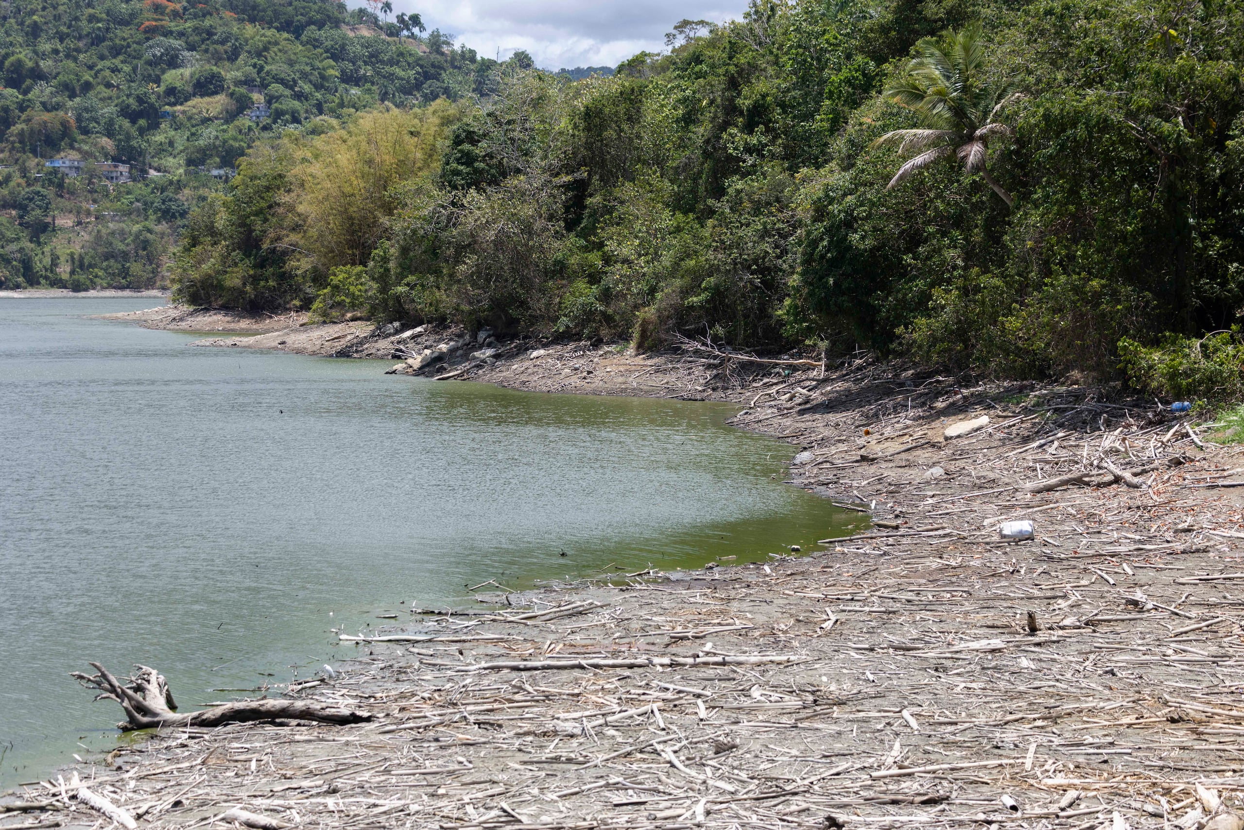 El embalse de Carraízo, que se encuentra en nivel de ajustes operacionales, continuó perdiendo volumen de agua en las últimas en las últimas 24 horas.
Foto: Alejandro Granadillo
alejandrogranadillo@gmail.com