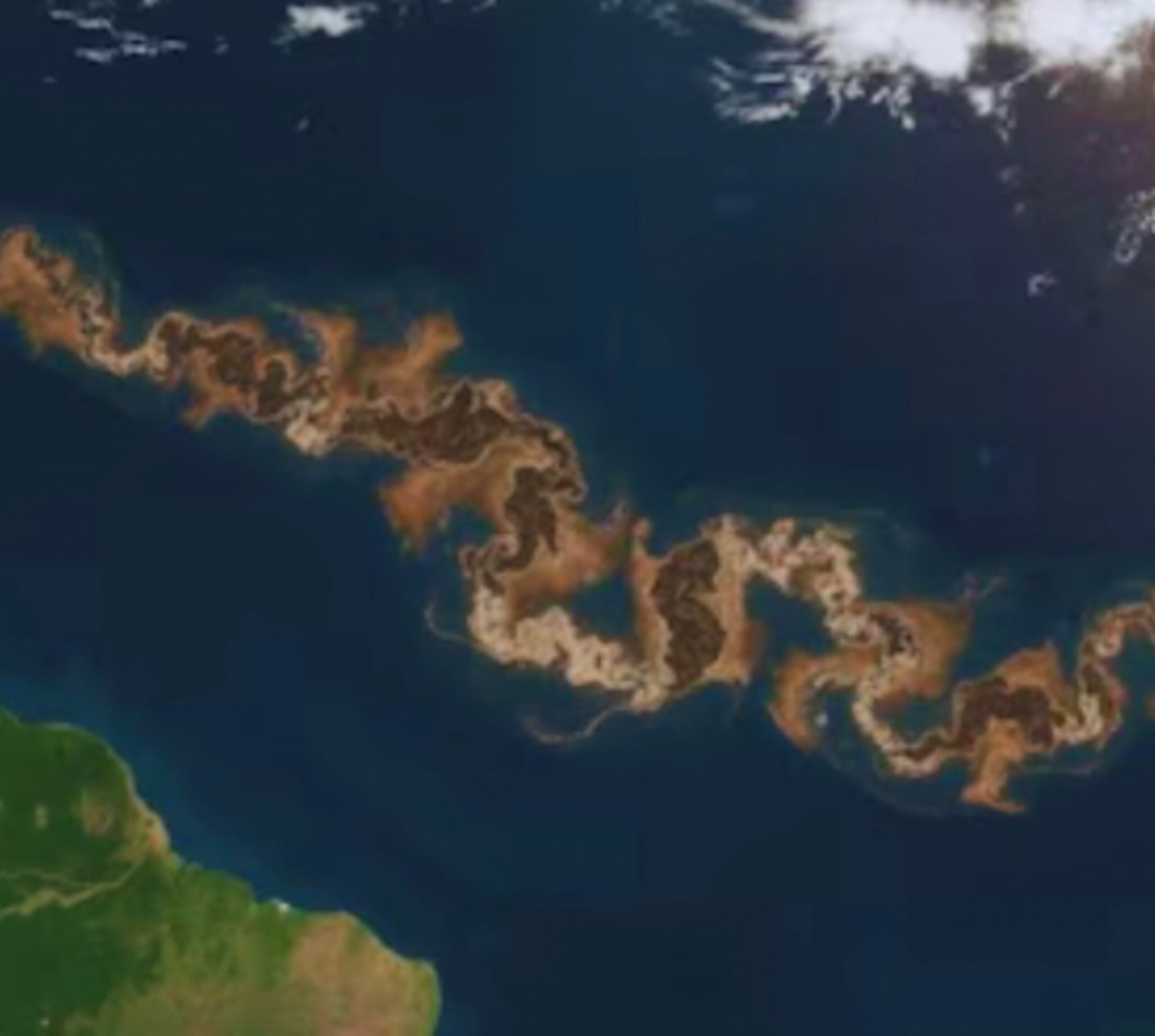 Los instrumentos de observación de la NASA registraron una presencia vegetal de dimensiones continentales.