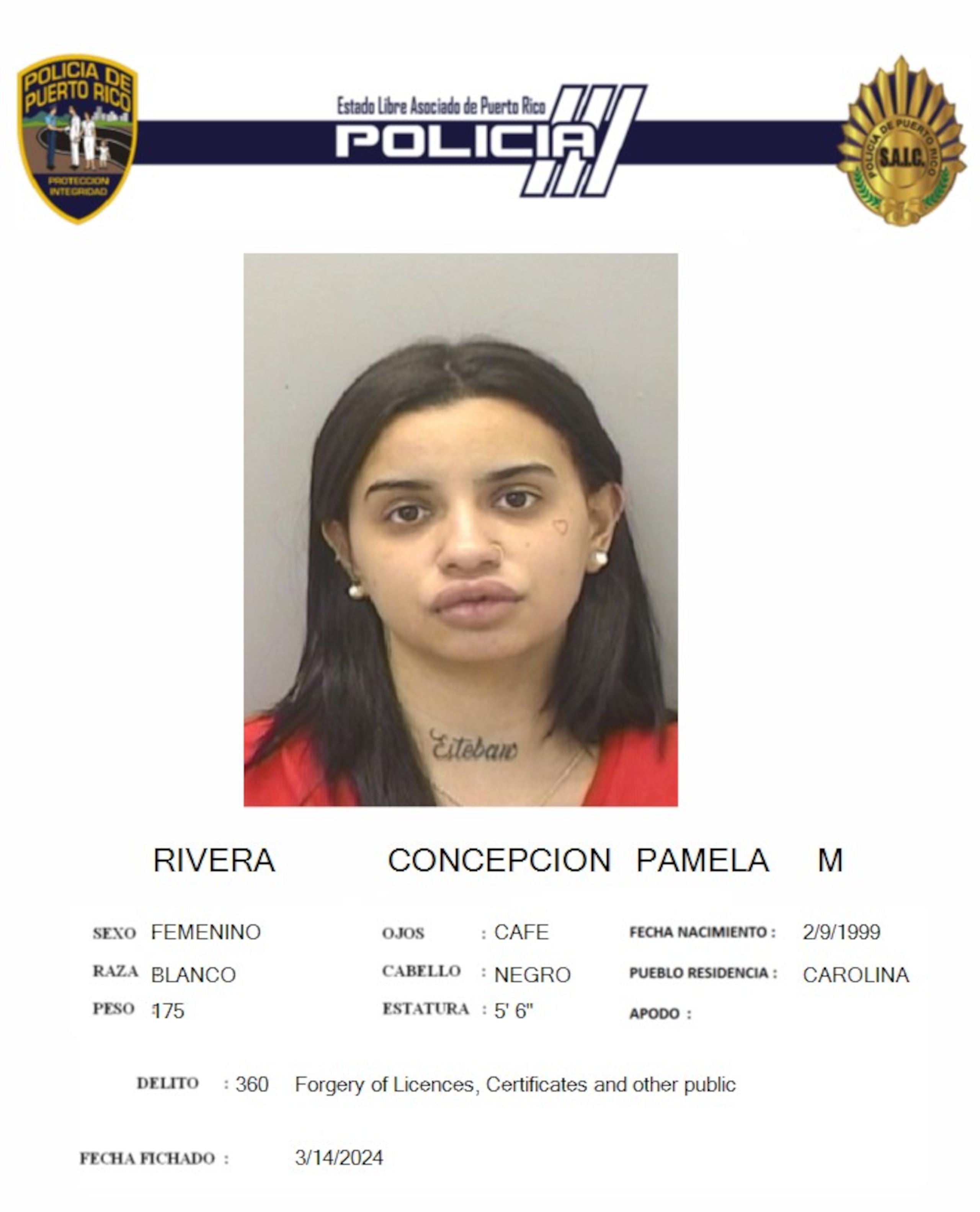 Ficha de Pamela M. Rivera Concepción