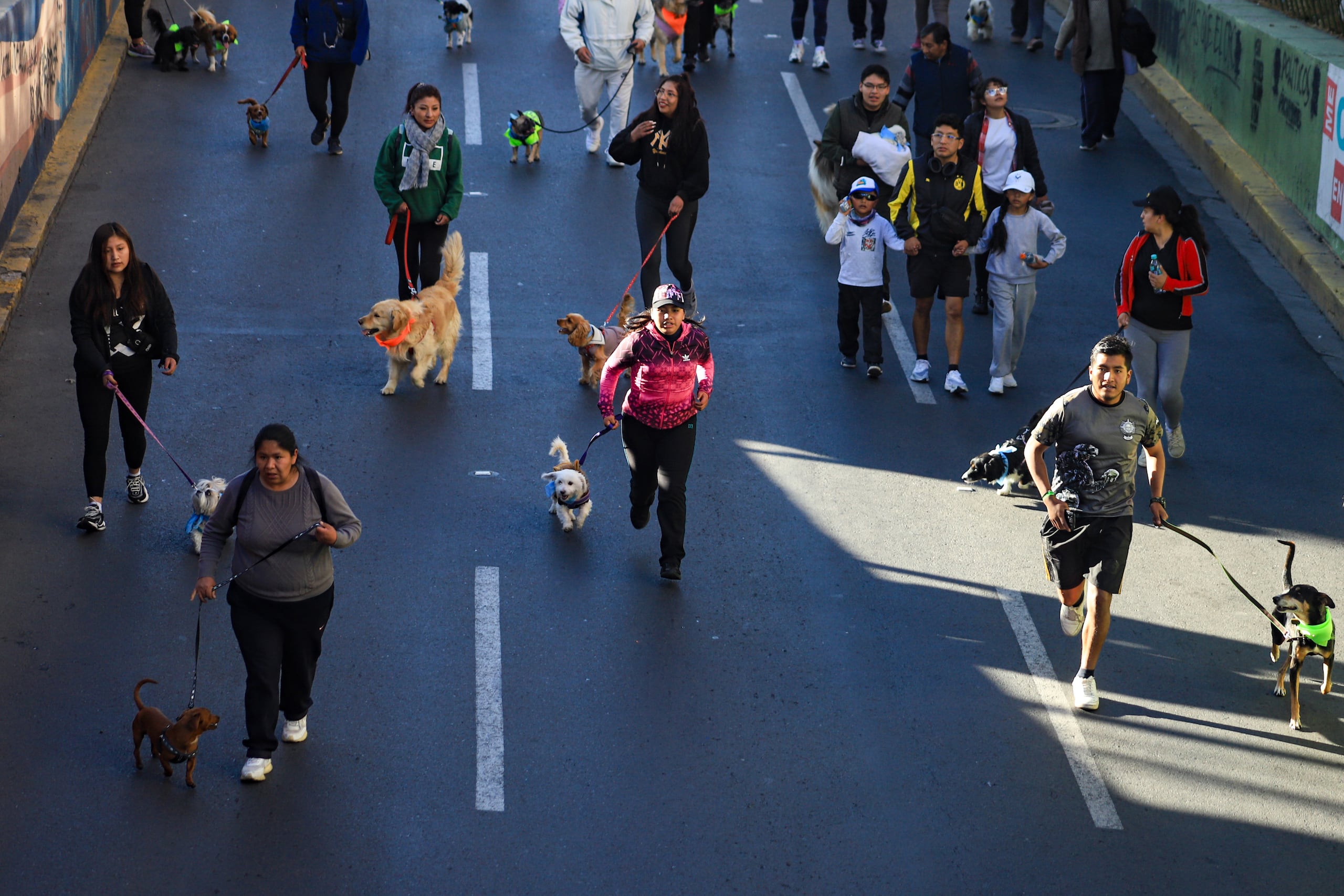 Personas junto a sus perros participan en una carrera este domingo en La Paz (Bolivia). EFE/ Gabriel Màrquez