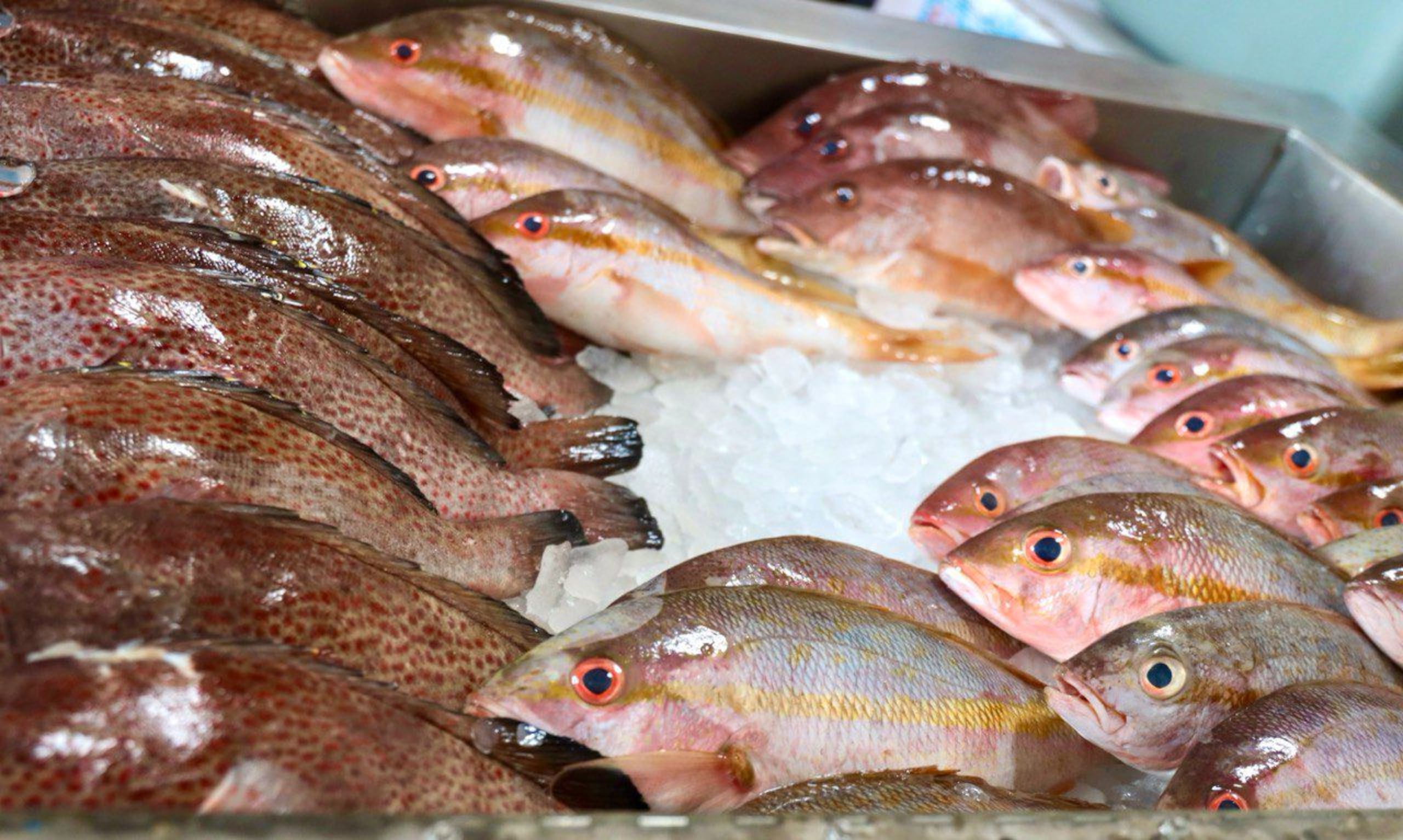 El Departamento de Asuntos del Consumidor celebró un operativo en pescaderías y supermercados de cara a la Semana Santa.