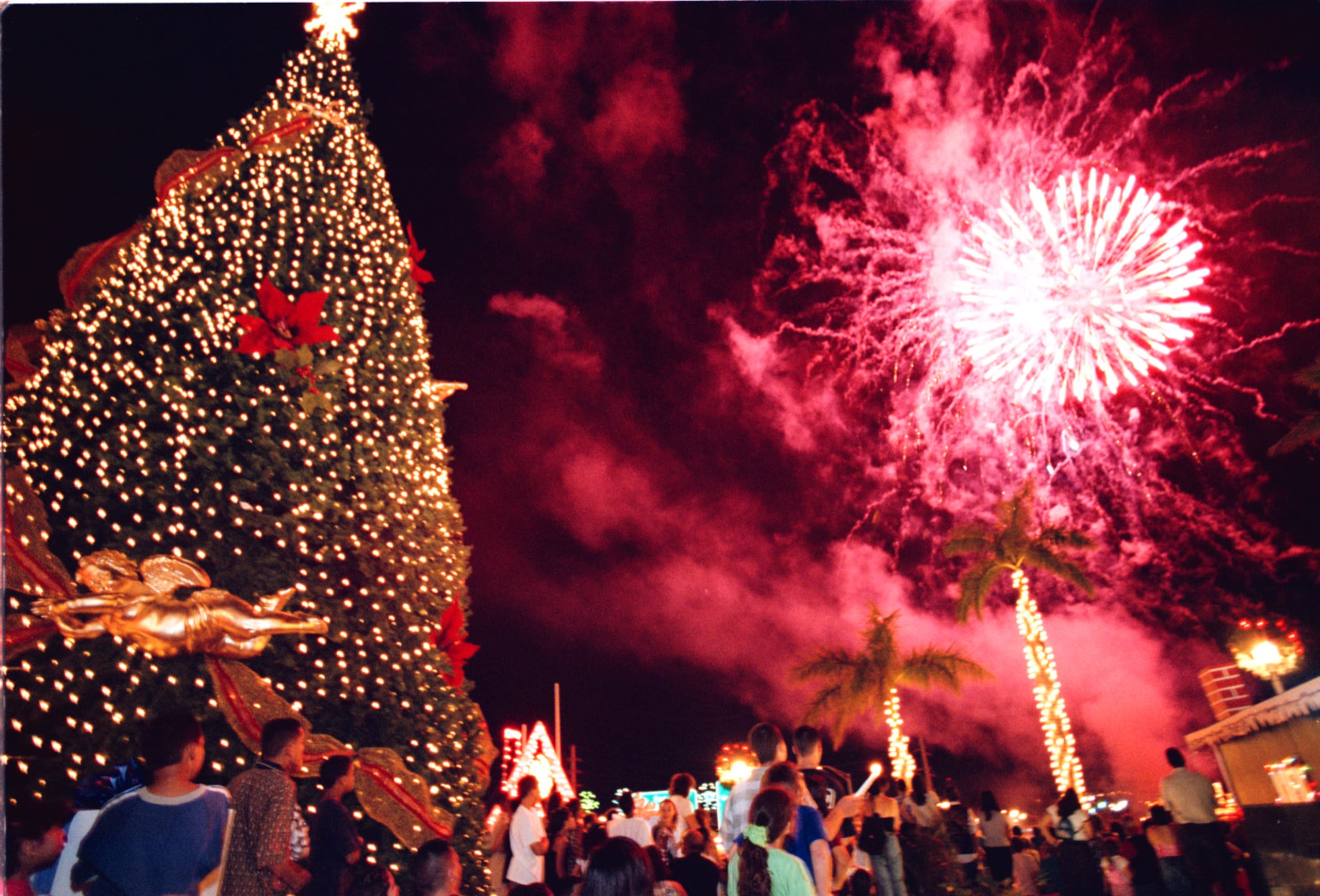 11/25/98 SAN JUAN, PUR: ENCENDIDO NAVIDENO EN EL PUEBLO DE GUAYNABO. (PRIMERA HORA/FOTO: HERIBERTO CASTRO) ARBOL DE NAVIDAD NAVIDAD