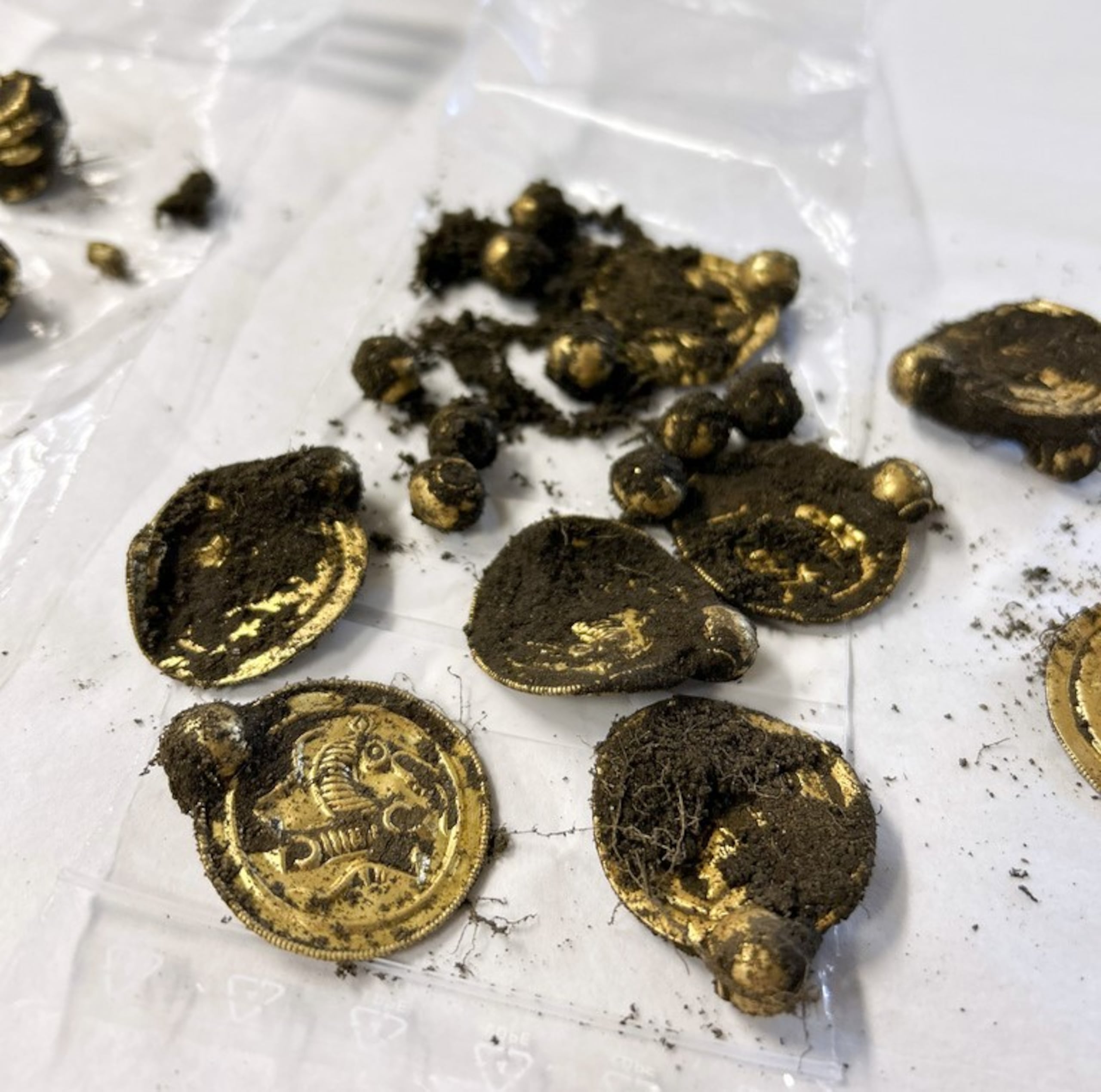 Varias joyas de oro de 1,500 años de antigüedad son exhibidas este viernes en Noruega después de que un hombre con un detector de metales descubrió las piezas en la isla de Rennesoy.