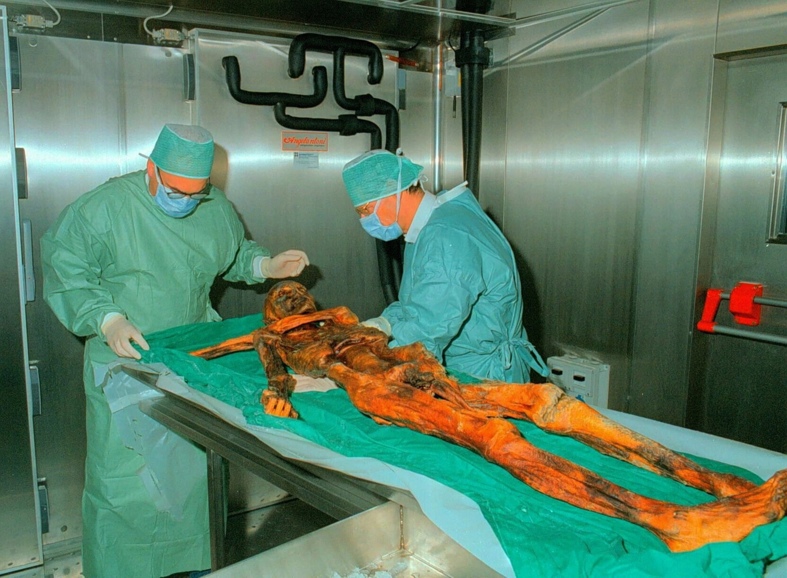 Según revelaron, se cree que los diseños probablemente fueron creados por el propio “hombre de hielo” utilizando una técnica conocida como “empuje con la mano”.