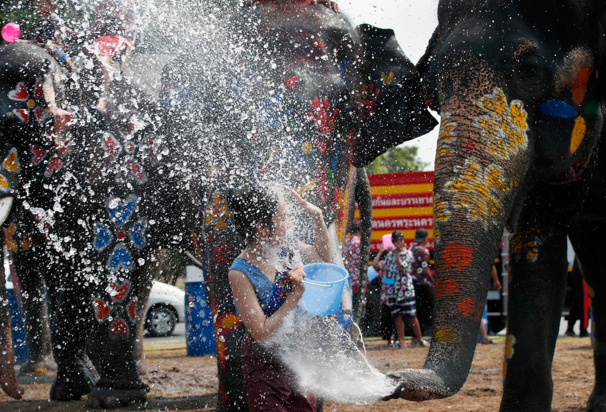 Lavar elefantes, o bañarse con ellos, son actividades populares en algunos centros de esparcimiento en Tailandia, donde los paquidermos también participan en espectáculos para turistas.