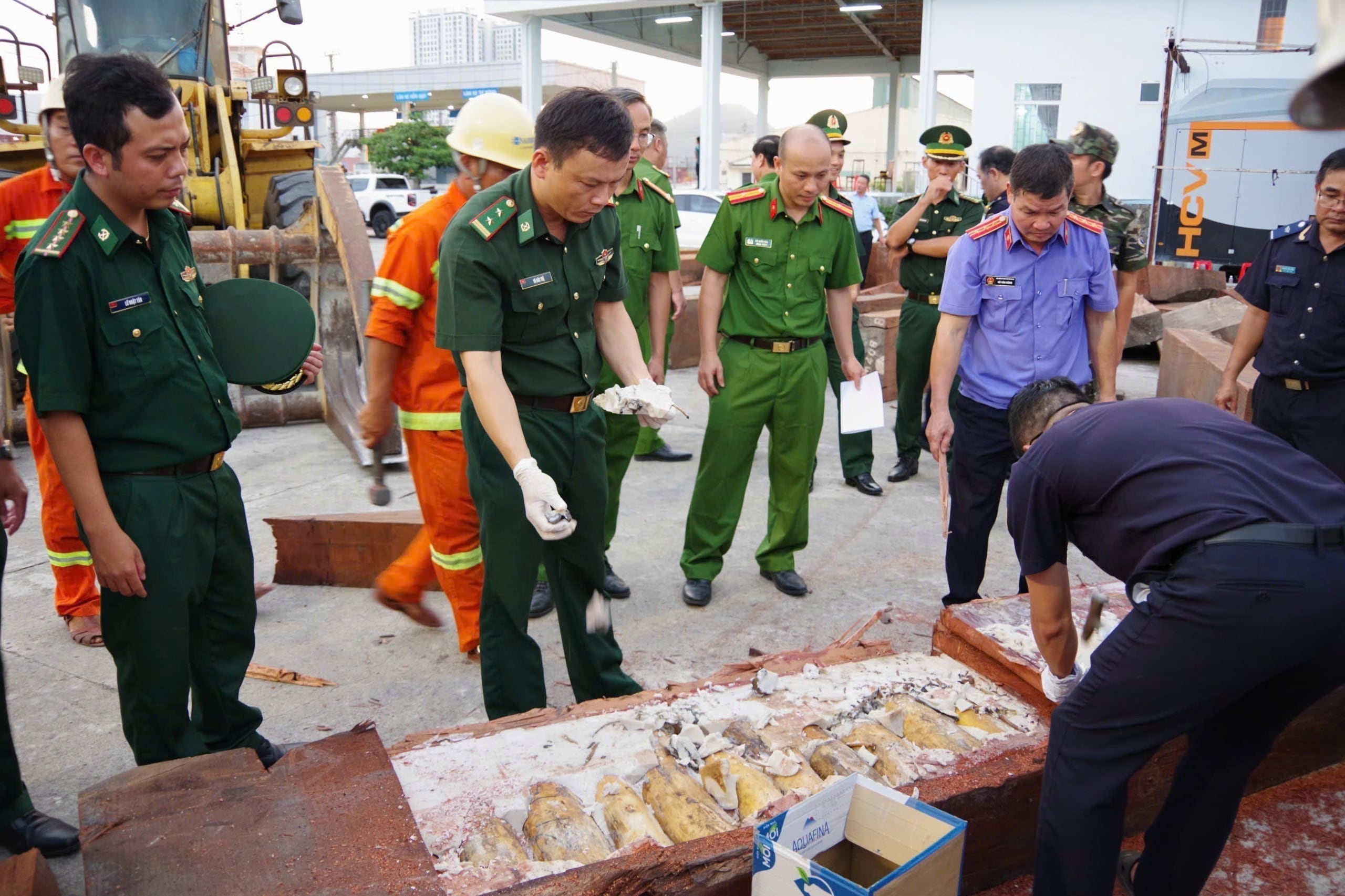 Vietnam es un importante centro para el comercio ilícito de vida silvestre, tanto viva como muerta.