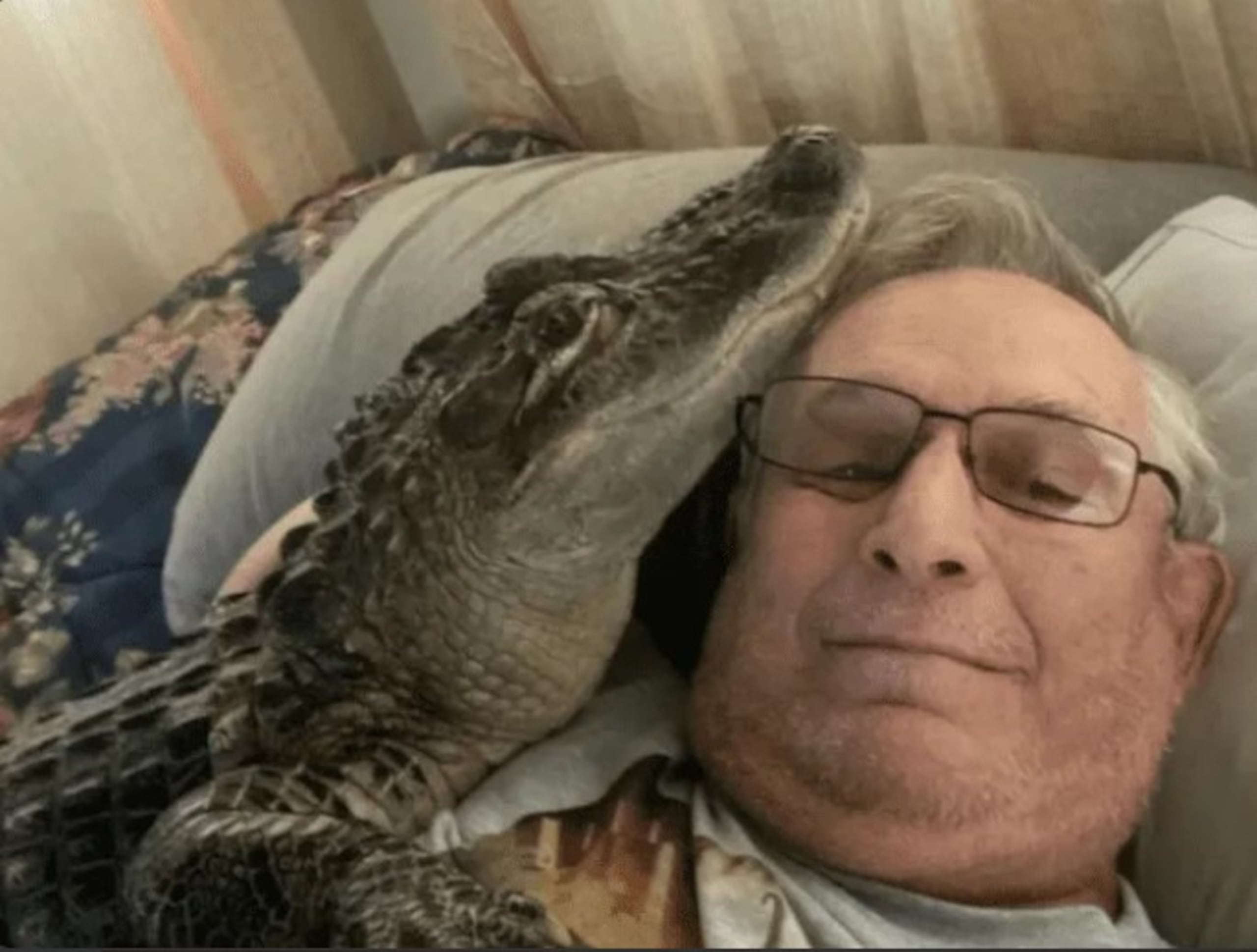 En el 2019, Henney logró registrar a Wally como mascota de apoyo emocional, pues le ha dado apoyo en su tratamiento de radiación contra el cáncer.