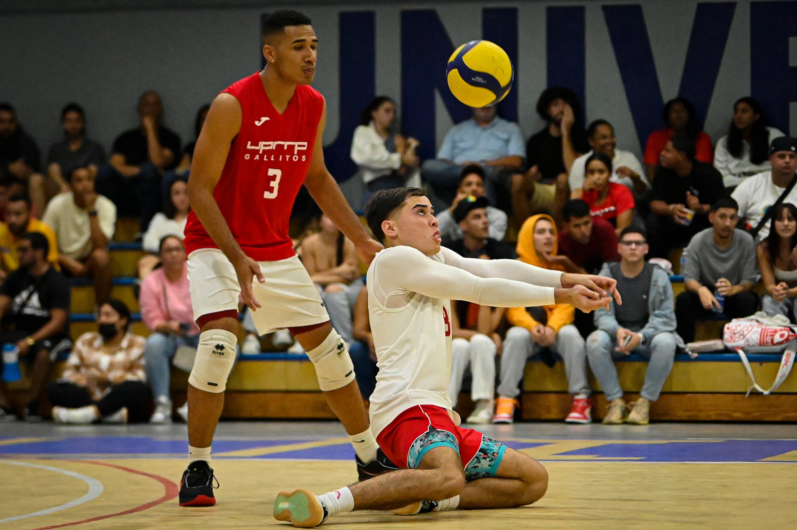 Los Gallitos del Recinto de Río Piedras de la UPR defenderán este año el campeonato del voleibol masculino en la LAI.