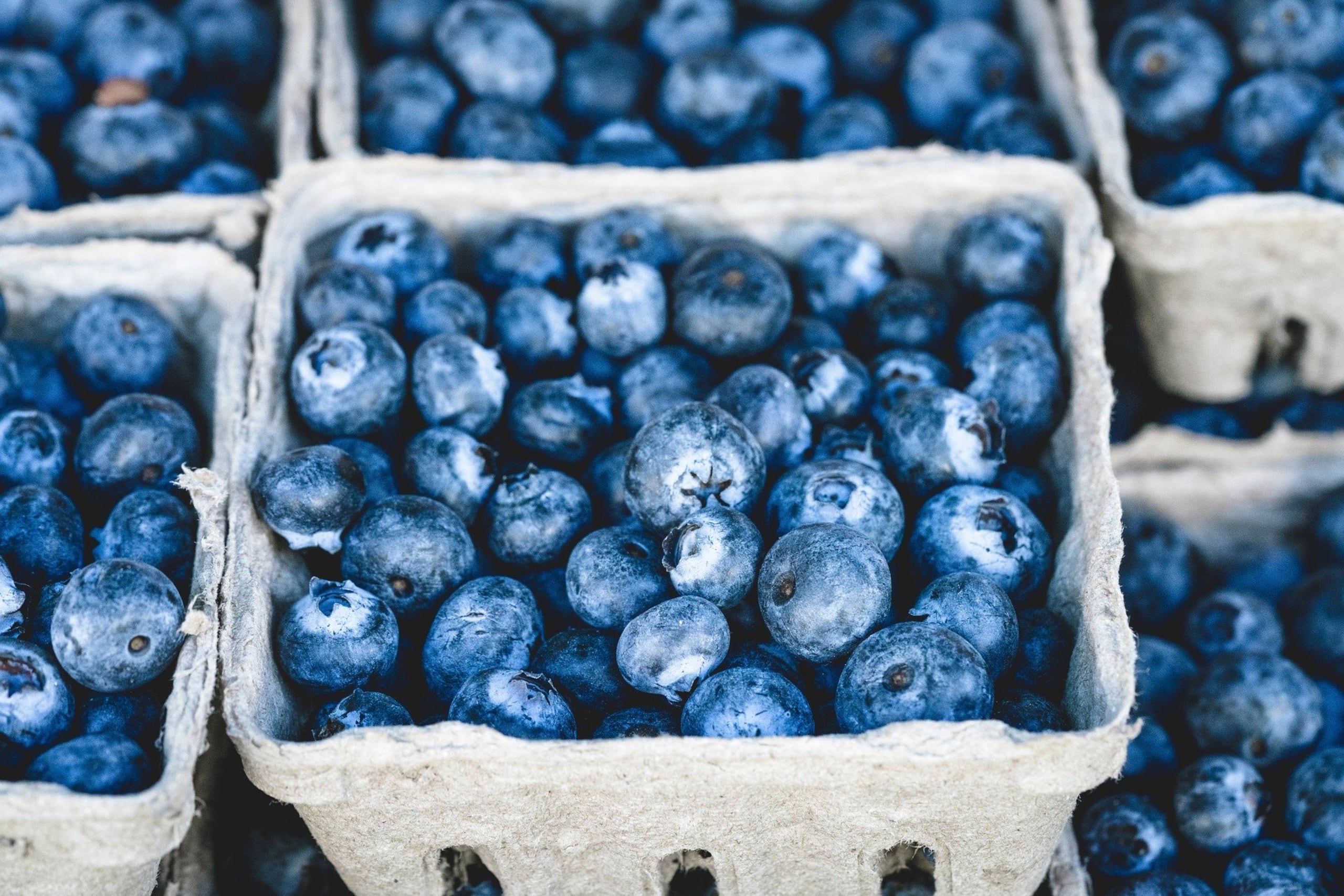 Por su contenido de antioxidantes, antiinflamatorios y polifenoles de las moras ayudan a mejorar el aprendizaje, la memoria y el pensamiento. (Beth Thomas / Pixabay)
