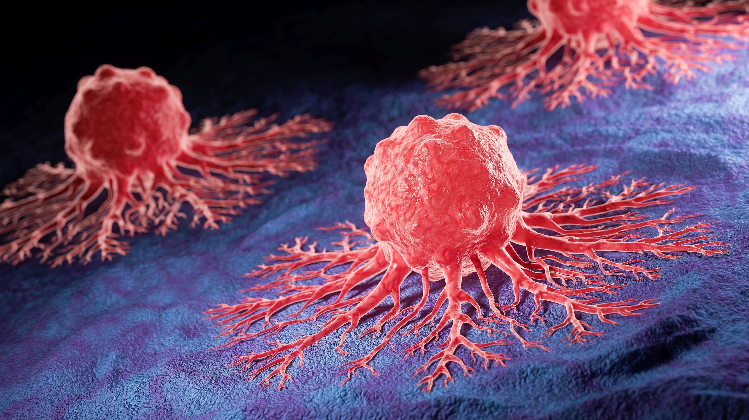 Según el Instituto nacional de cáncer de Estados Unidos, “es posible que el cáncer comience en cualquier parte del cuerpo humano”, puesto que estamos hechos por billones de células.