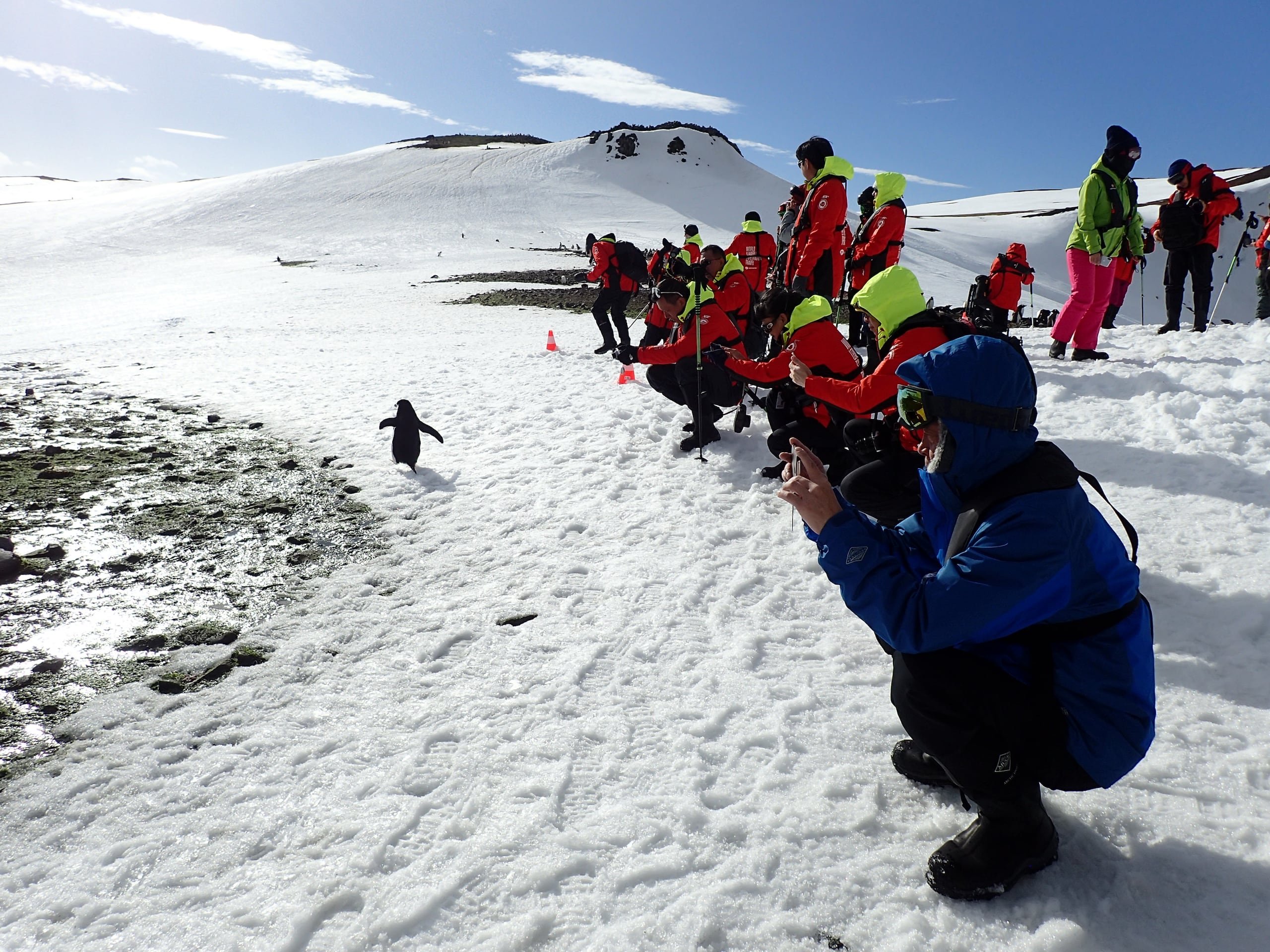 Varios turistas fotografían en la Antártida a un ejemplar de pingüino que escapa de la avalancha de personas.