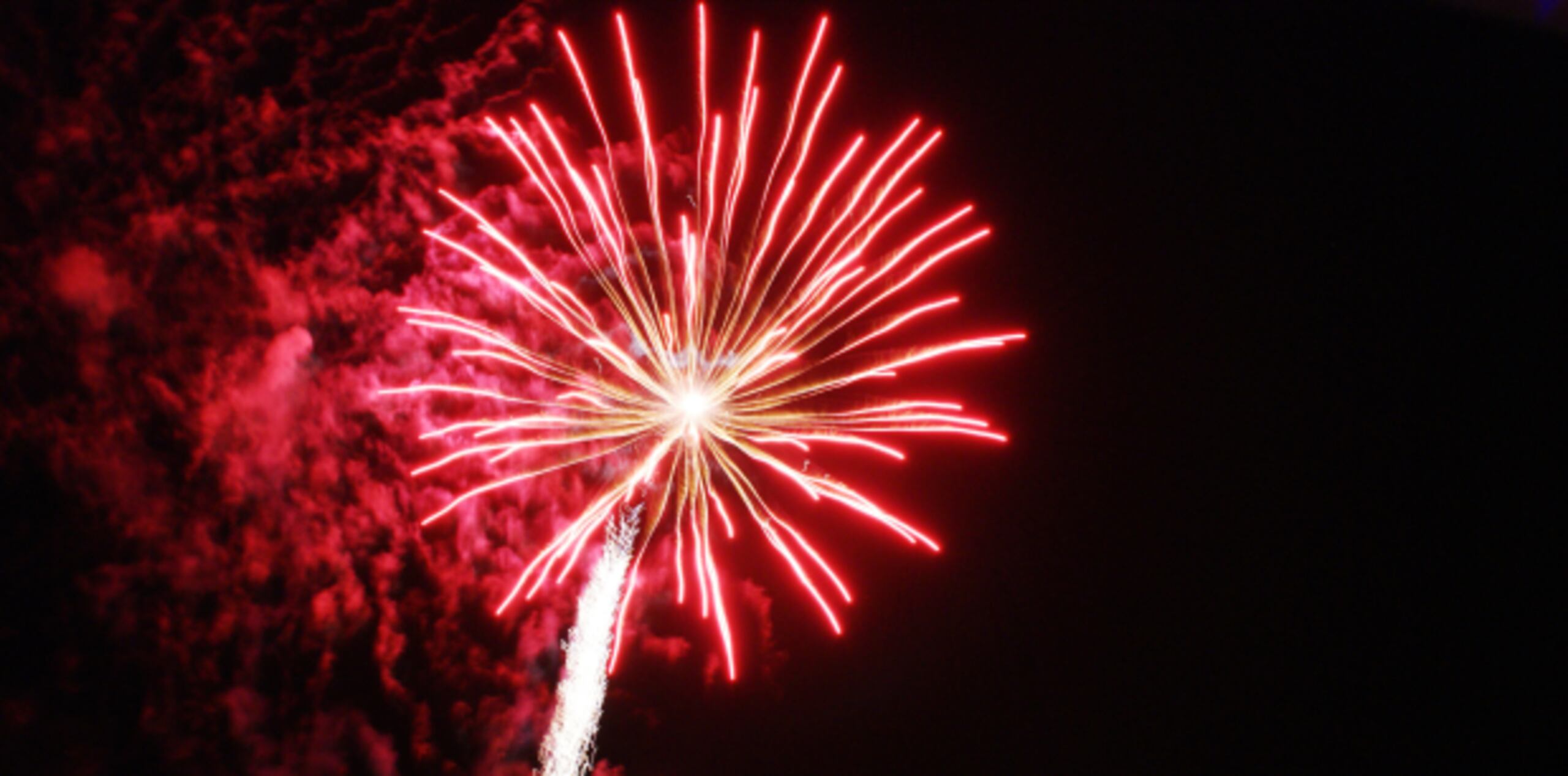 ¡Feliz año nuevo a nuestros queridos lectores! (Archivo)