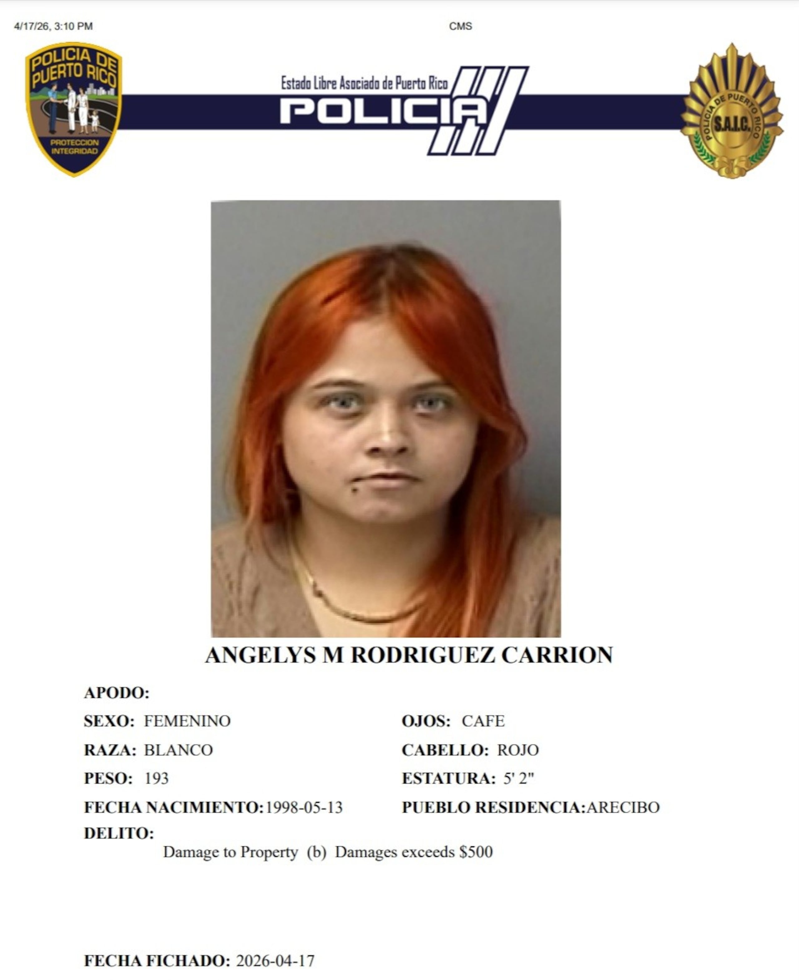 Angelys M. Rodríguez Carrión, enfrenta un cargo por daño agravado.