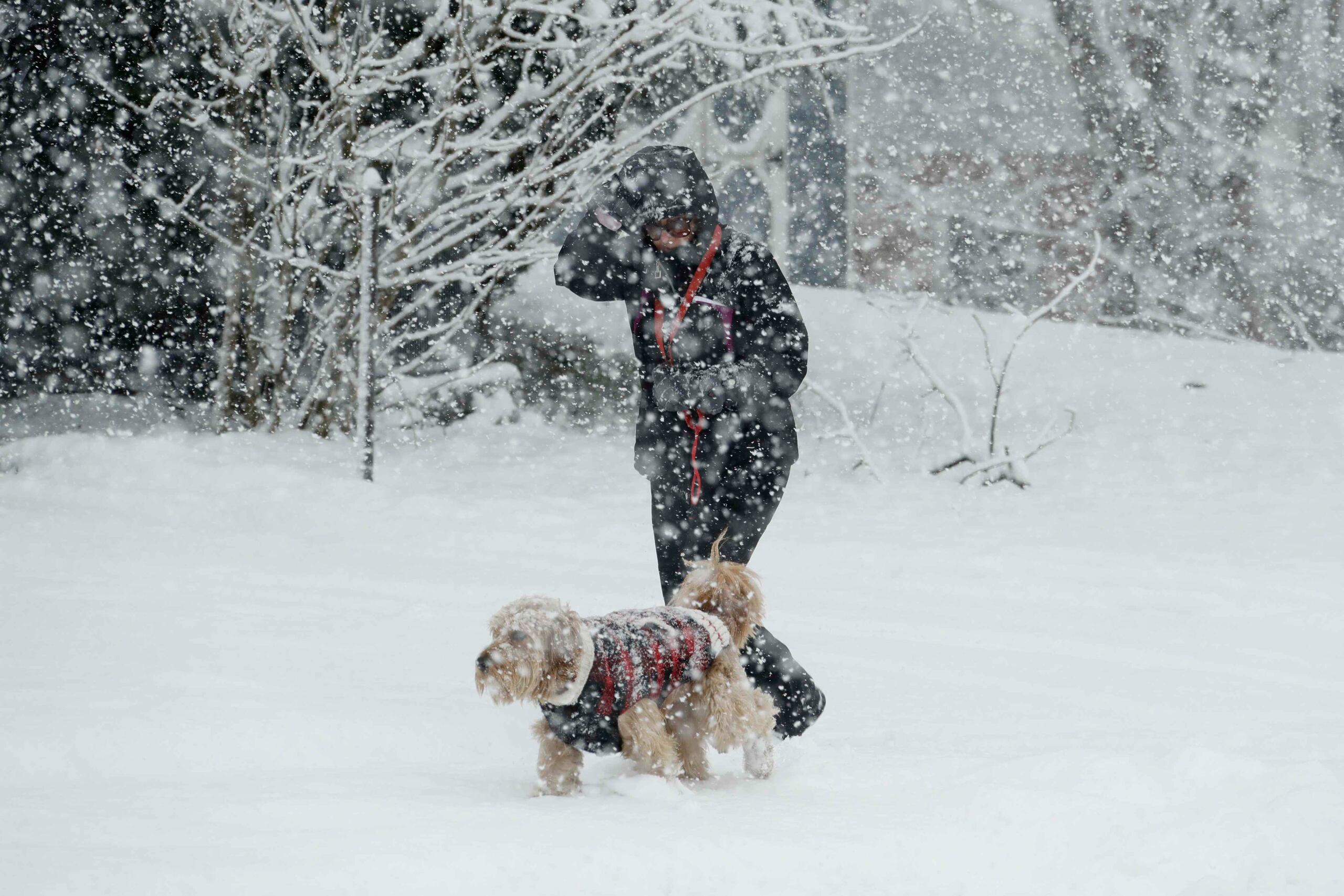 Tormentas de nieve hacen estragos en la costa este de Estados Unidos