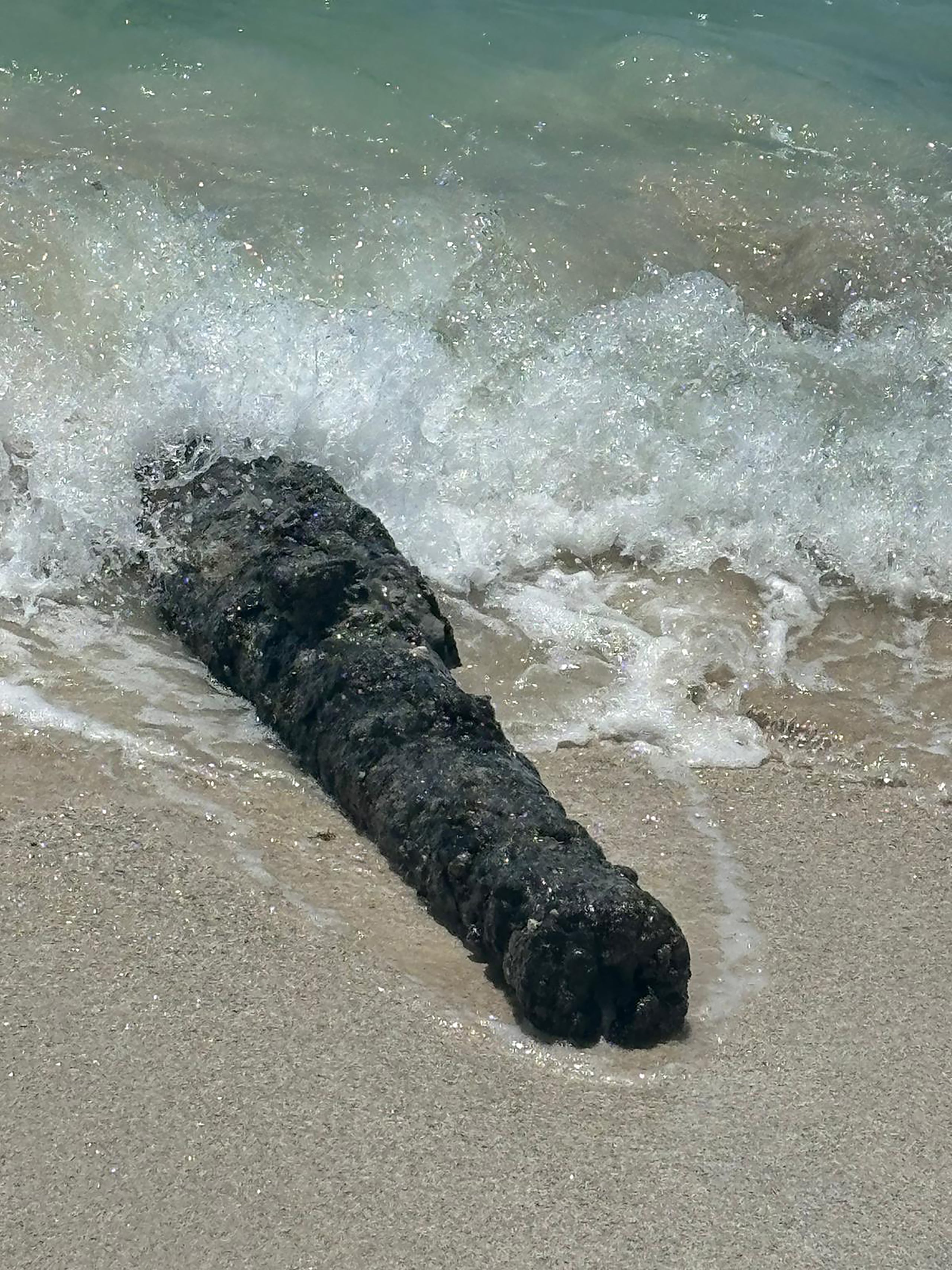 Pedazos de un barco centenario encontrados por pescadores en una playa de Vieques.
