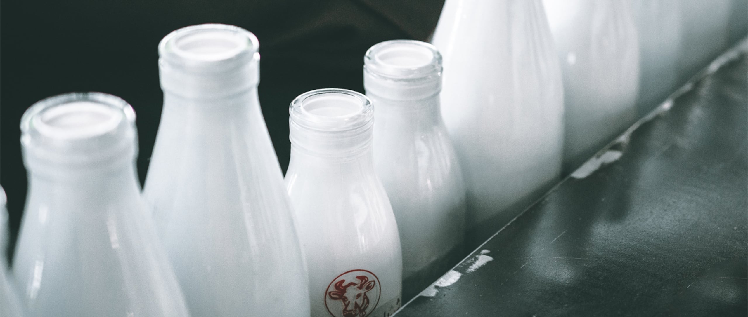 Las personas que ingieren leche cruda tienen una alta posibilidad de contraer brucelosis y E. Coli. (Mehrshad Rajabi / Unsplash)