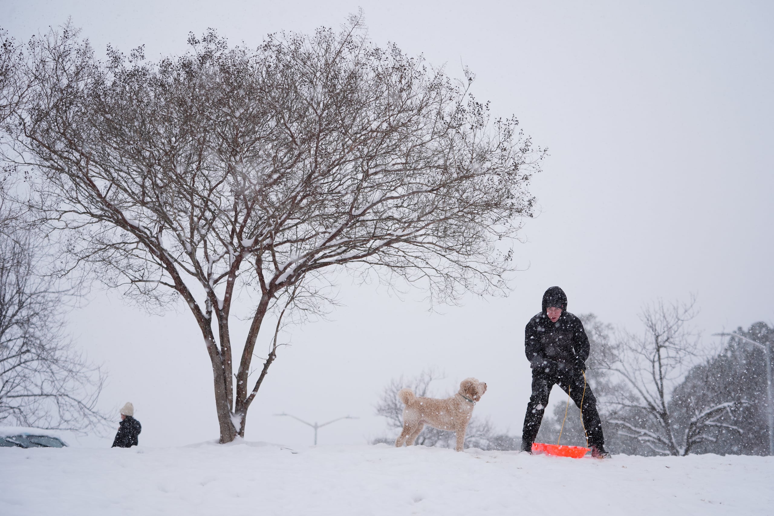 Alex Taylor, acompañado por su perra Daisy, se preparó para deslizarse por una colina cubierta de nieve en Charlotte, Carolina del Norte, el sábado 31 de enero de 2026.. (AP Photo/Erik Verduzco)