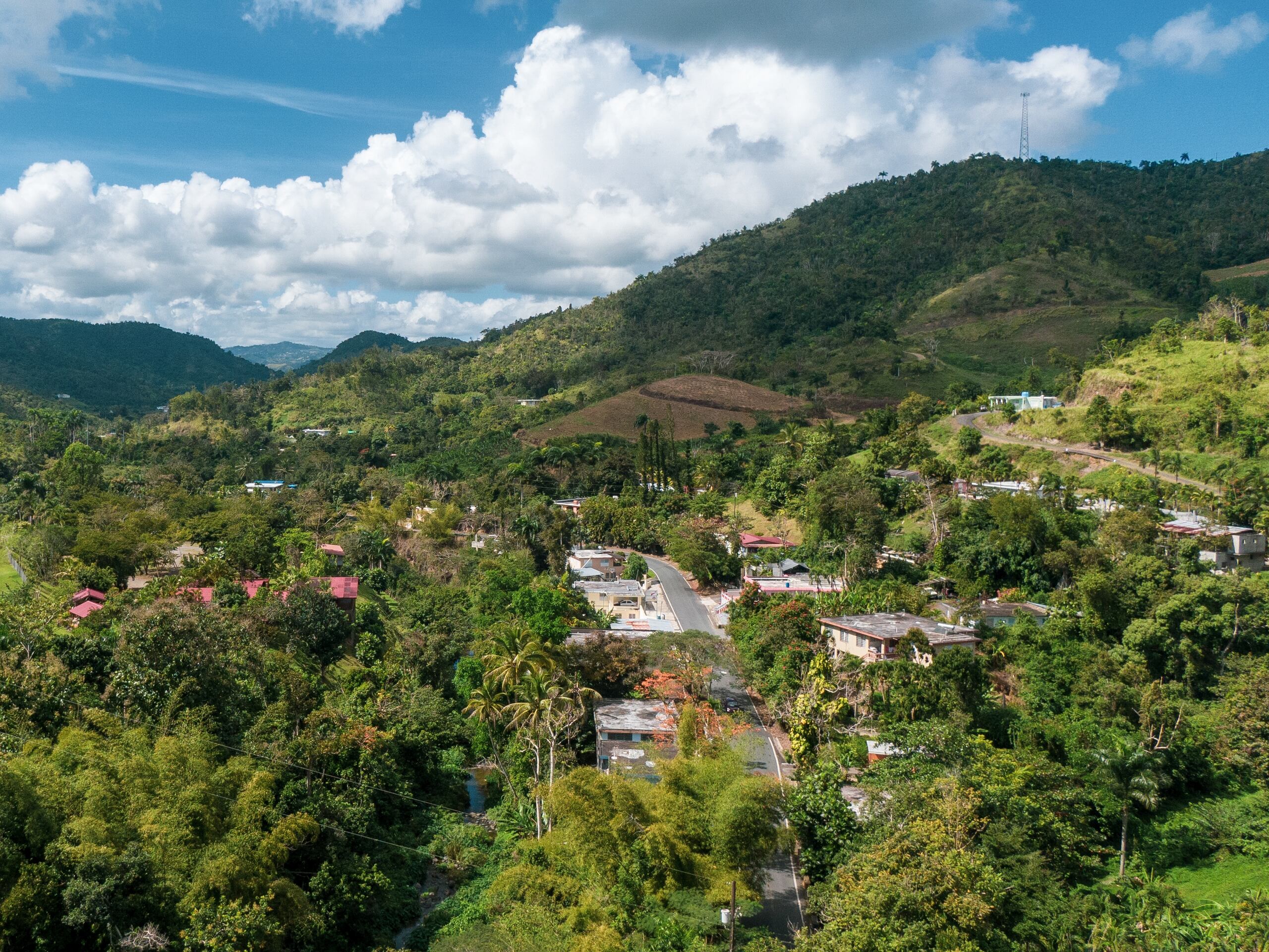 El 26 % de los residentes en el archipiélago borincano, cuyo domicilio ubica en pueblos como Adjuntas, Aguas Buenas, Aibonito, Barranquitas, Cayey, Ciales, Cidra, Comerío, Jayuya, Las Marías, Lares, Maricao, Naranjito, Orocovis y Utuado.