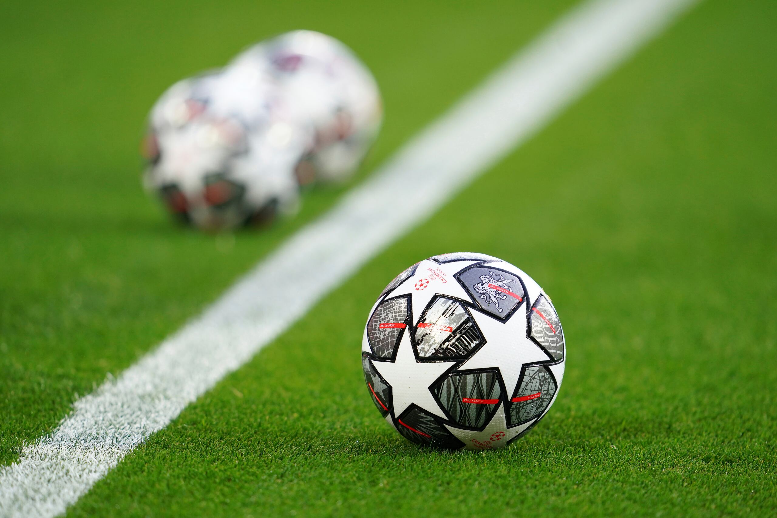 El simpático animalito logró hacerse con el control del balón en medio del partido.