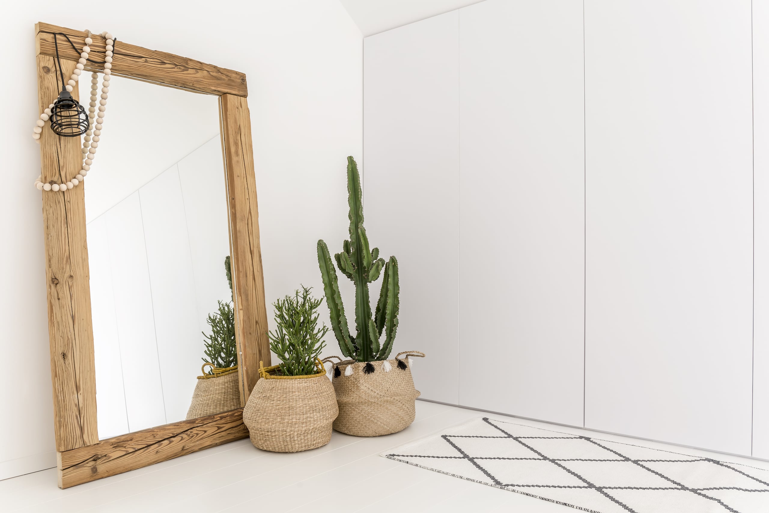 El Feng Shui considera que las plantas que tienen hojas largas y puntiagudas absorben las buenas energías y mientras están en el interior de su hogar emiten malas vibras, pero también hay maneras de utilizarlas a su favor.