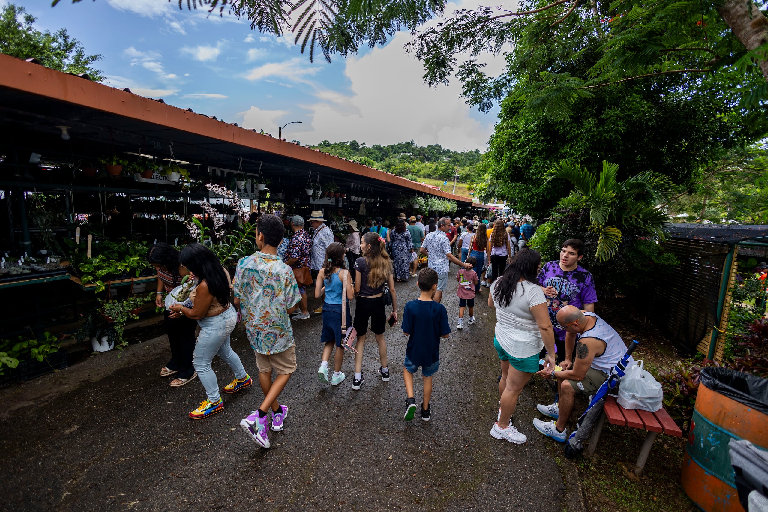Disfruta del entretenimiento del Festival de las Flores de Aibonito, pero también oriéntate sobre las plantas y flores y su cuidado.