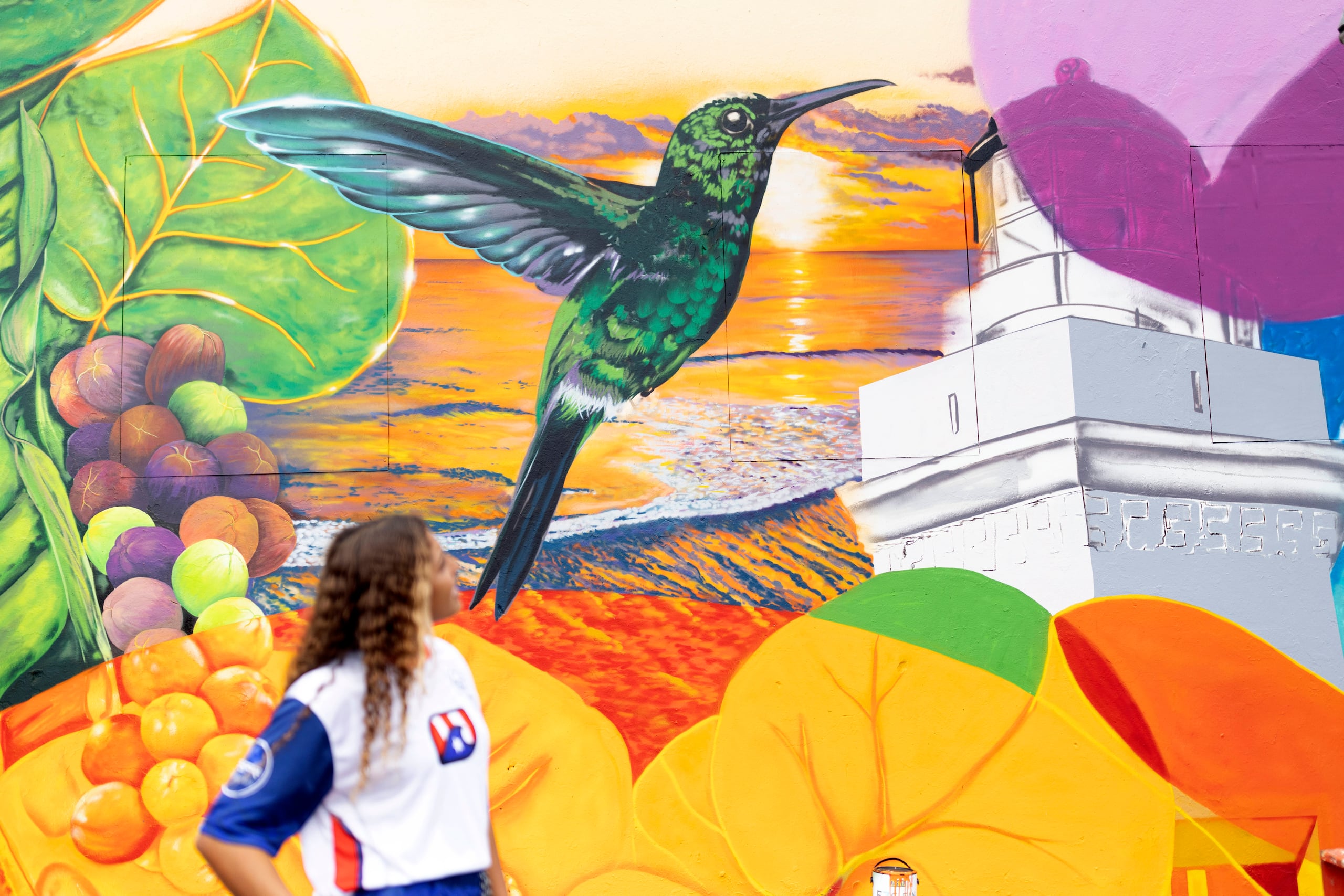 La obra consiste de elementos como playas, olas, el Faro de Arecibo, un zumbador esmeralda y uvas playeras, entre otros.