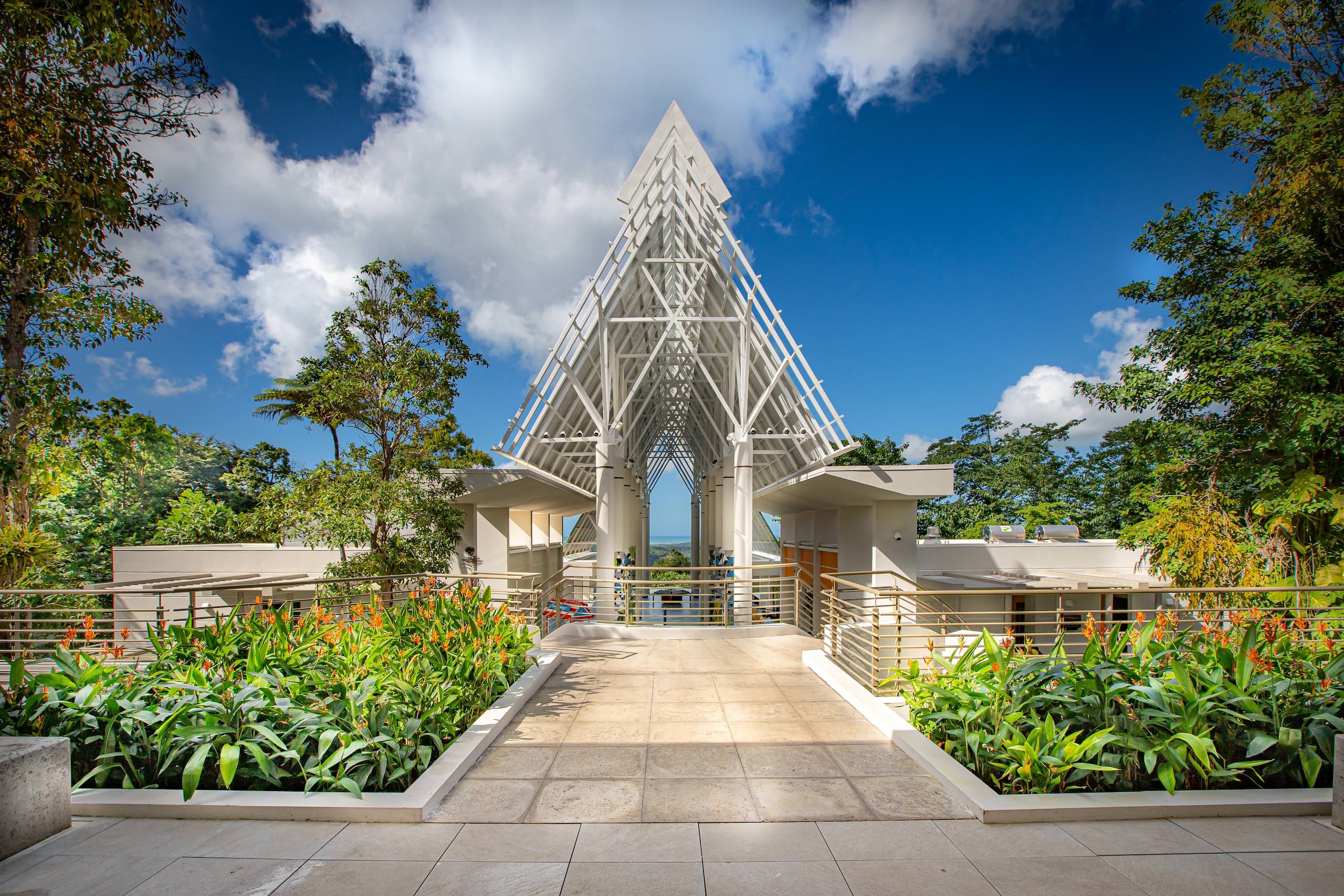 Se estima que un millón de personas visitan El Yunque anualmente.