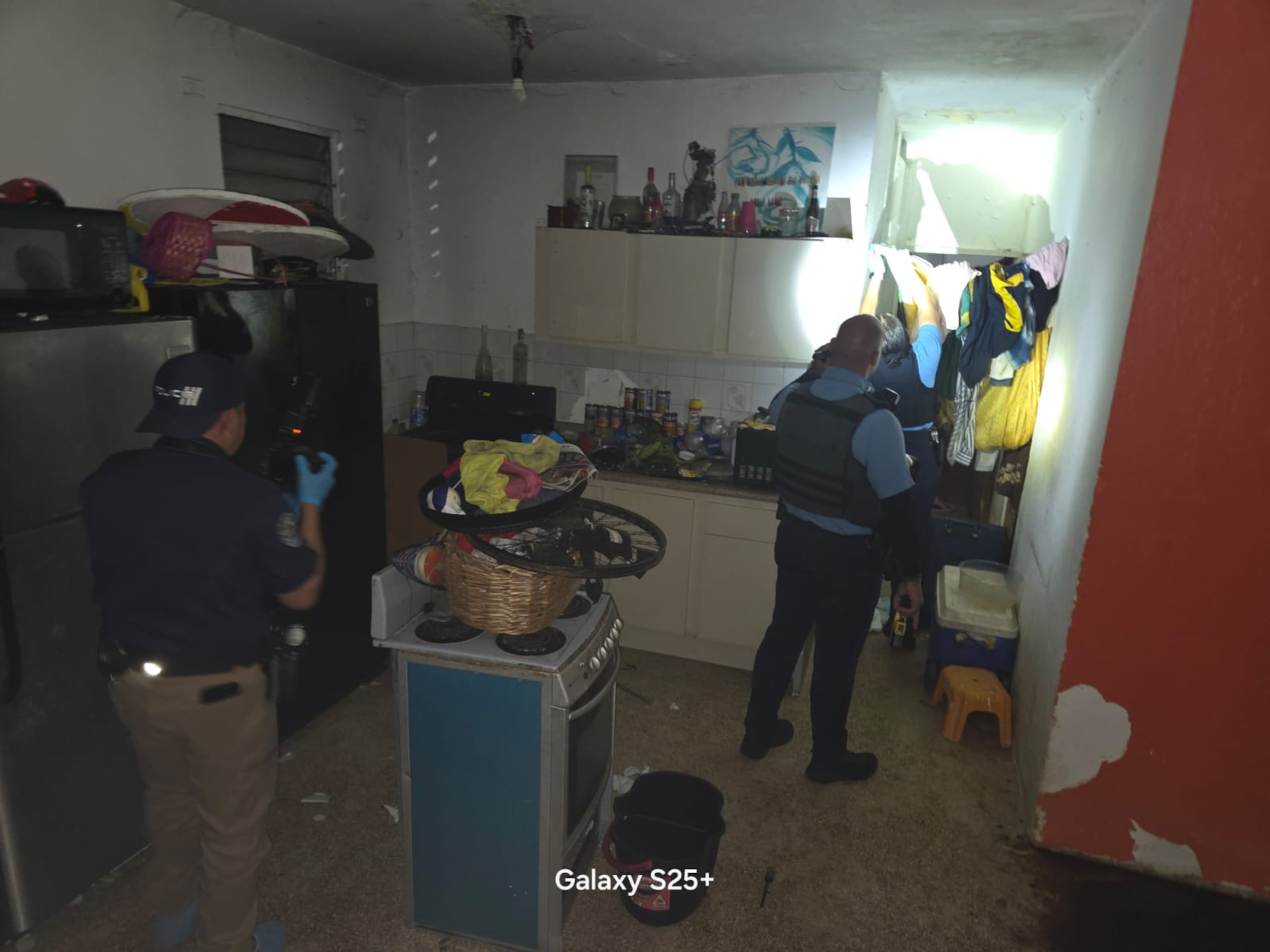 16 perros encadenados y desnutridos fueron rescatados de una residencia deshabitada en urbanización Santa Juanita en Bayamón.