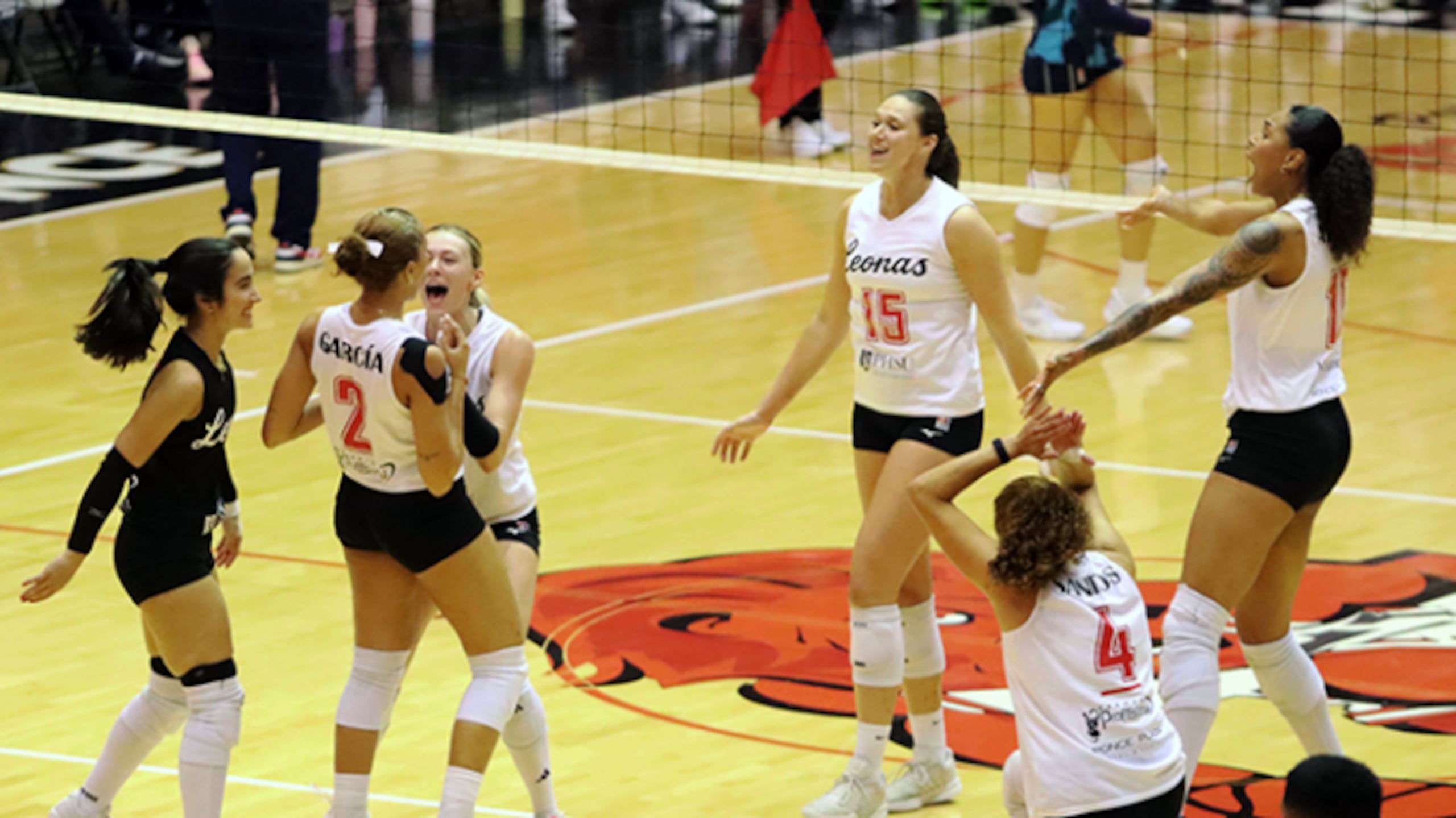 Las Leonas de Ponce.