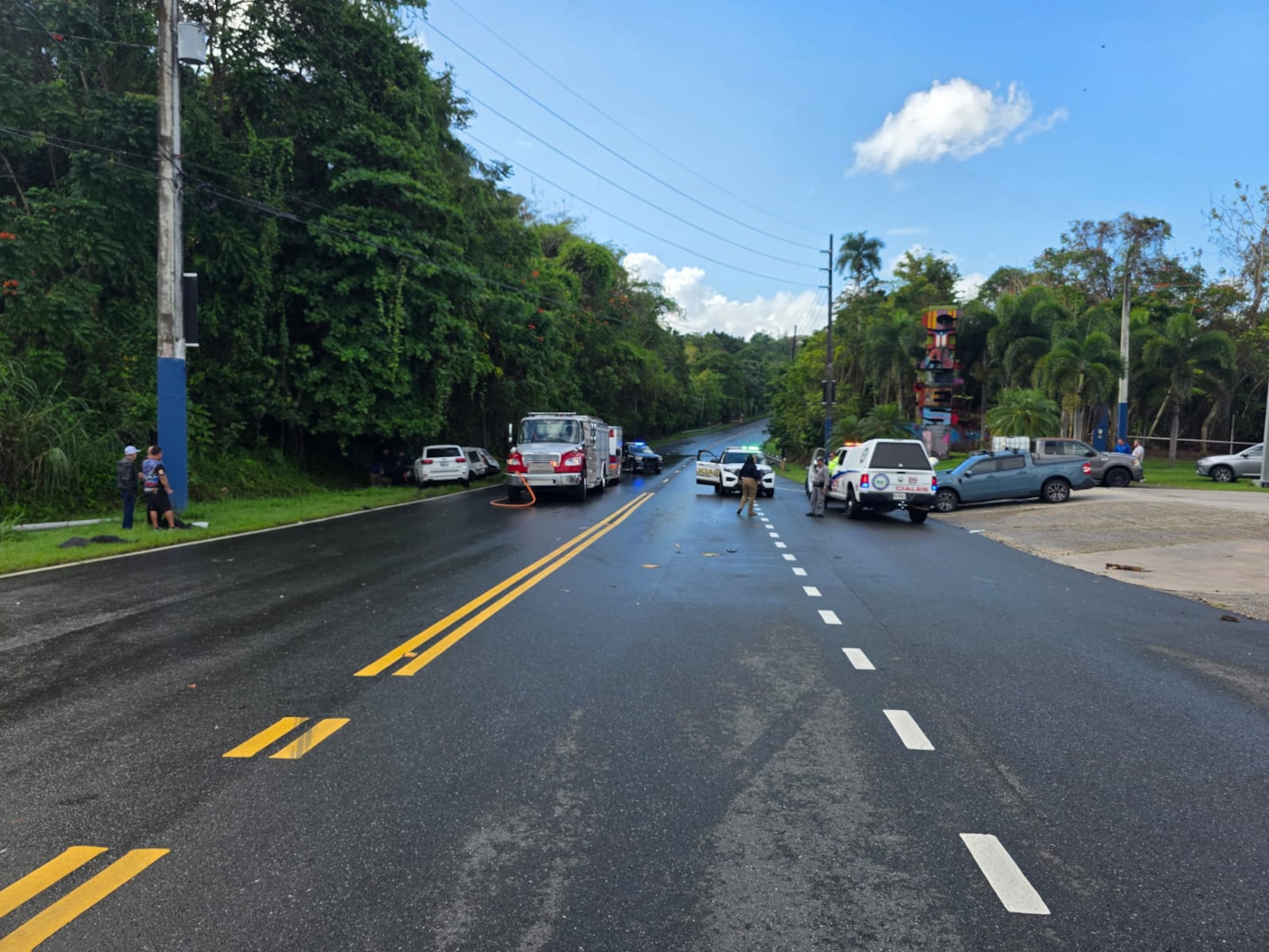 Imagen amplia de un accidente de tránsito en el que murió una conductora, en el kilómetro 9.7 de la carretera PR-149, en Ciales.