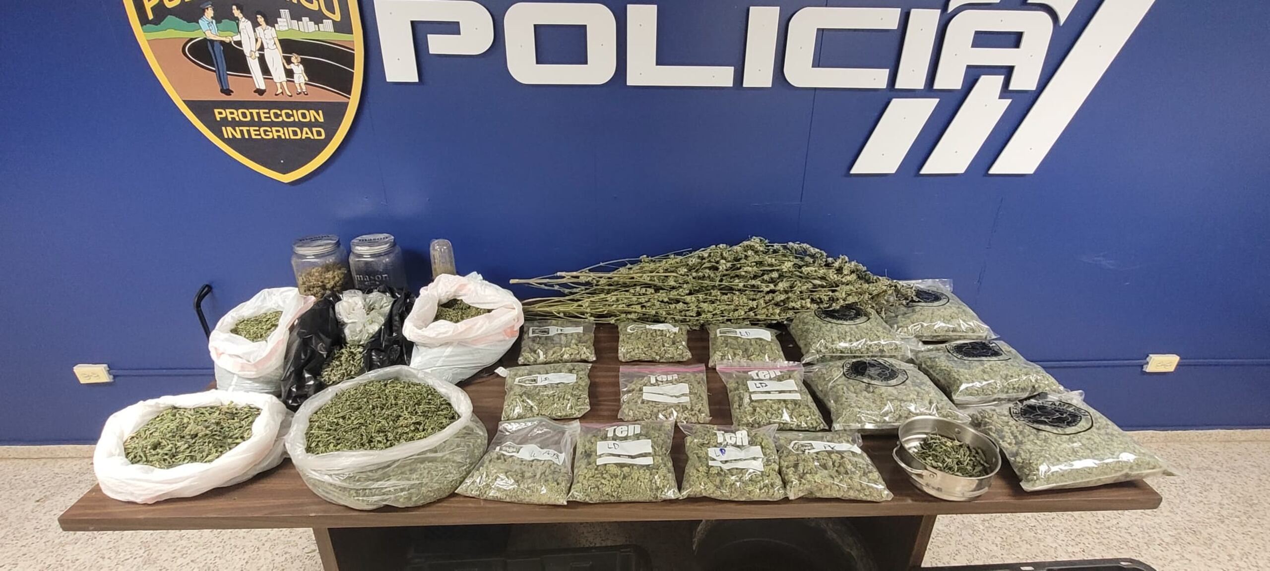 Marihuana ocupada en una residencia de la urbanización Rosaleda en Toa Baja.