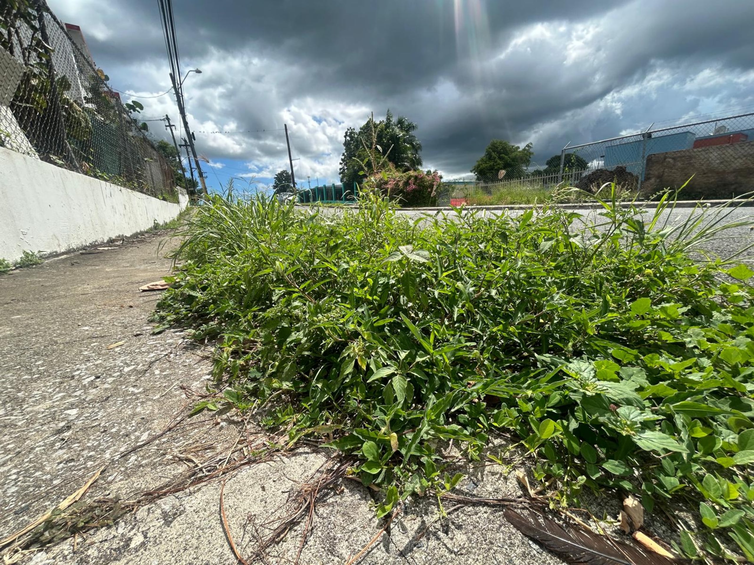 Imagen sobre el estado de las aceras.