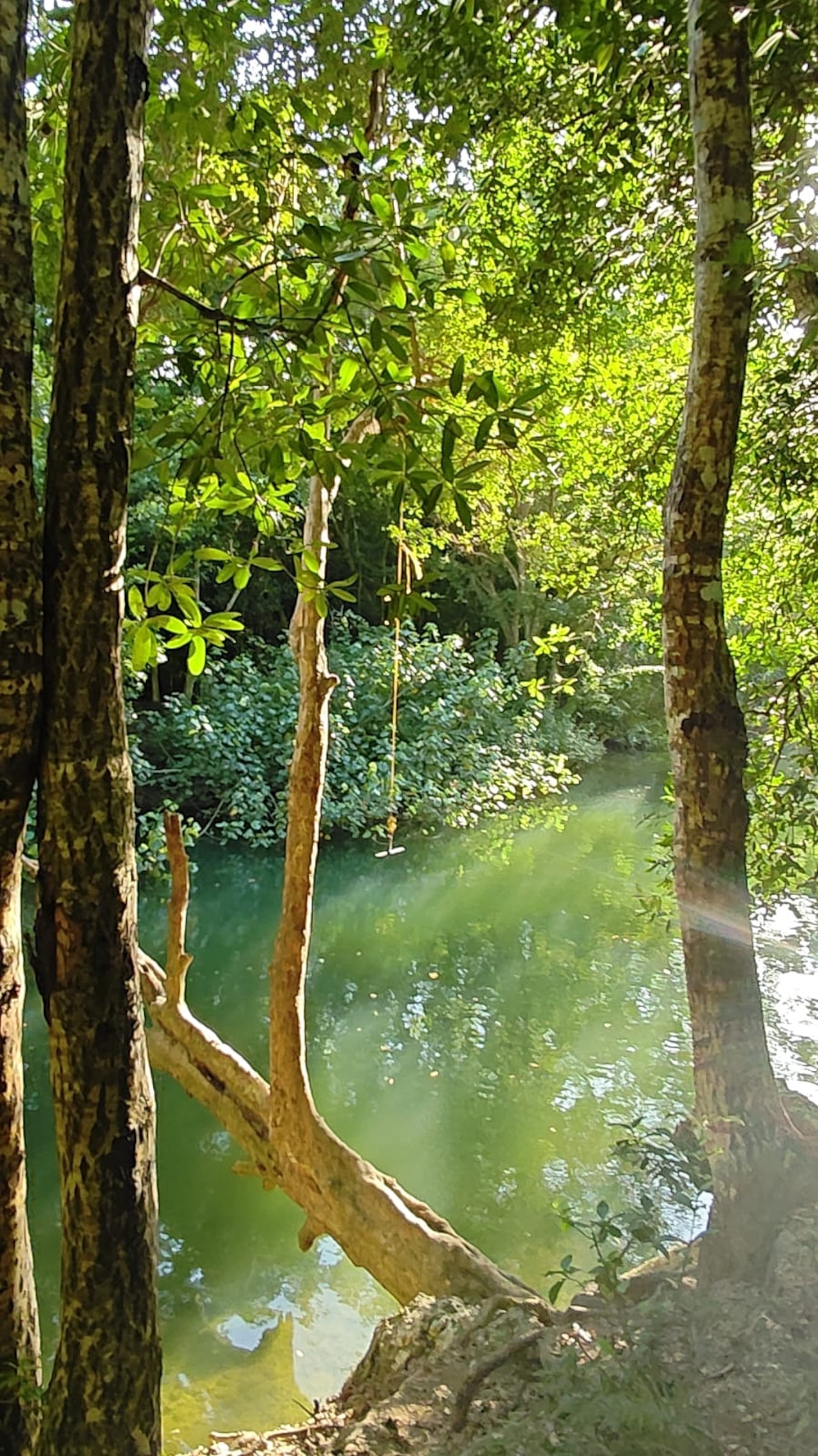 Las espectaculares aguas del Río Guajataca parecen invitar al senderista a darse un chapuzón durante el recorrido.