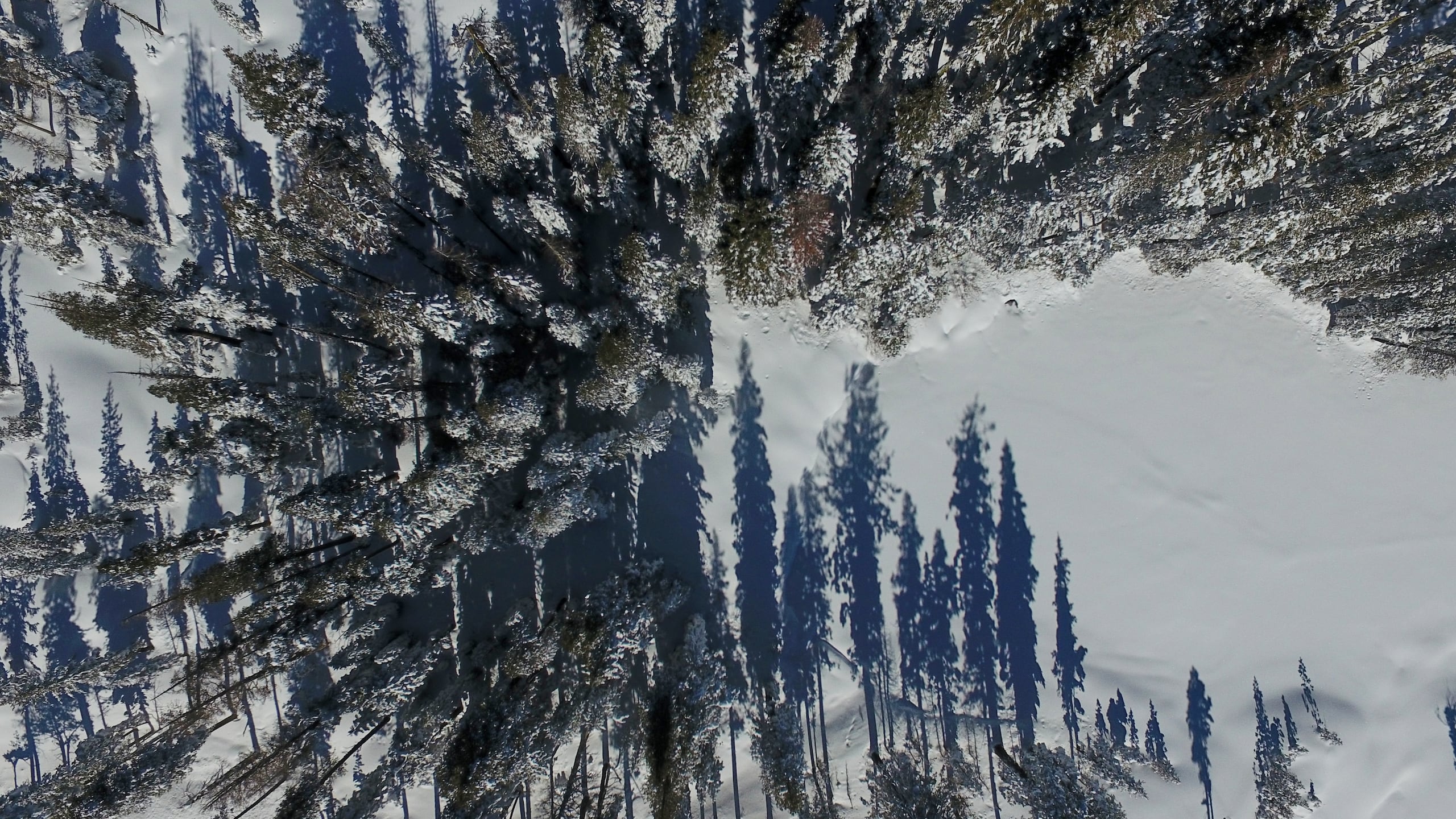 El mal tiempo y la amenaza de más avalanchas han impedido que los equipos recuperen de forma segura los cuerpos de las ocho personas fallecidas y otra que sigue desaparecida tras la avalancha del martes.